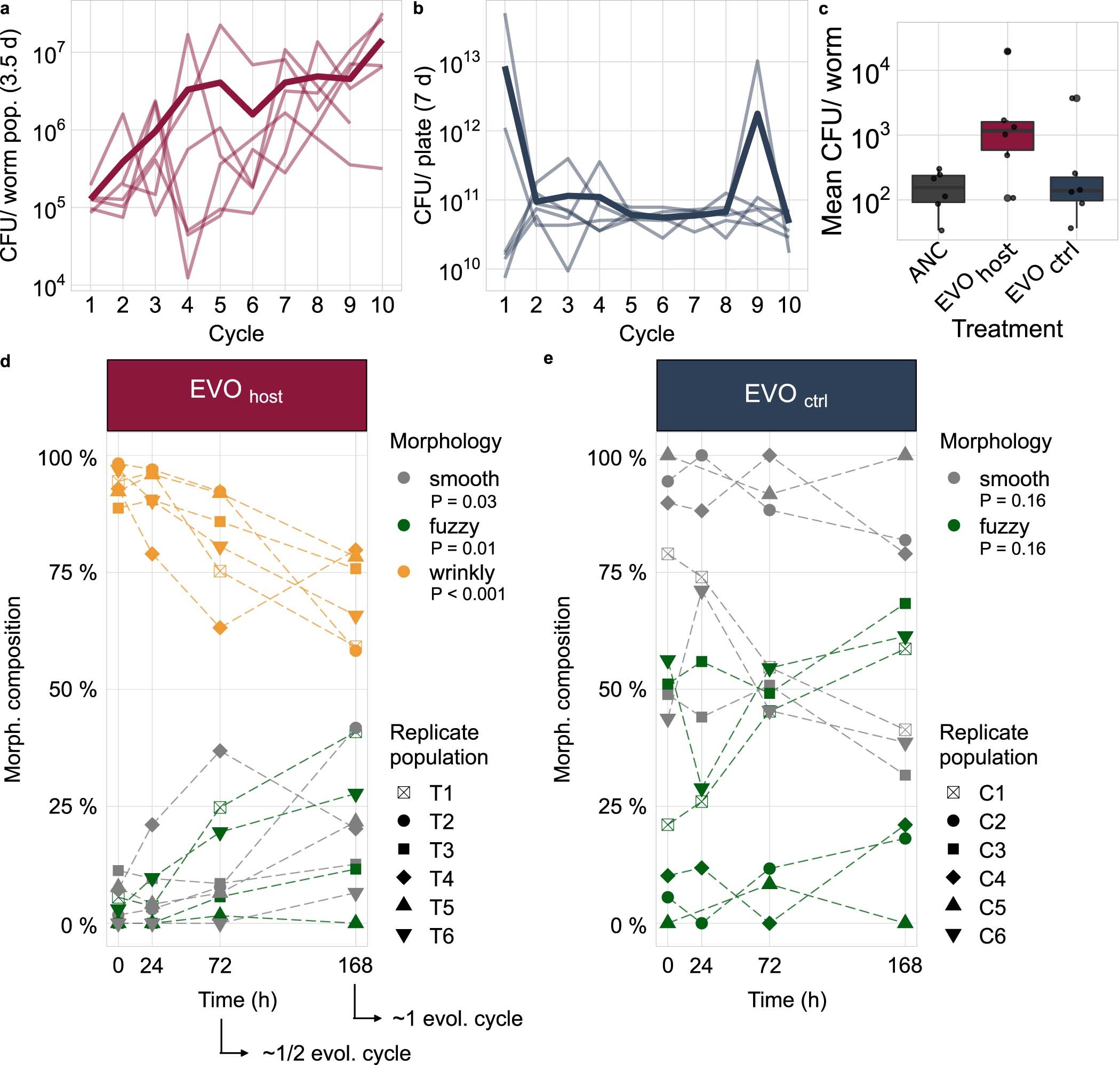 Extended Data Fig. 1: Bacterial fitness during and resulting from experimental evolution.