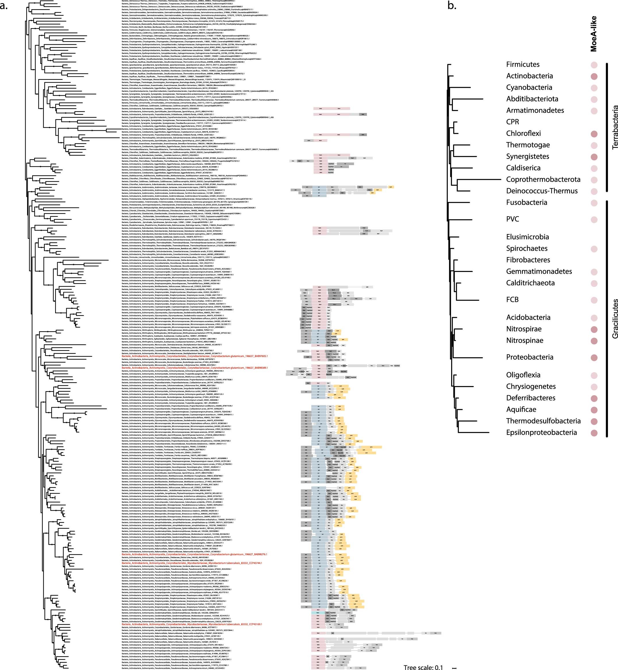 Extended Data Fig. 6