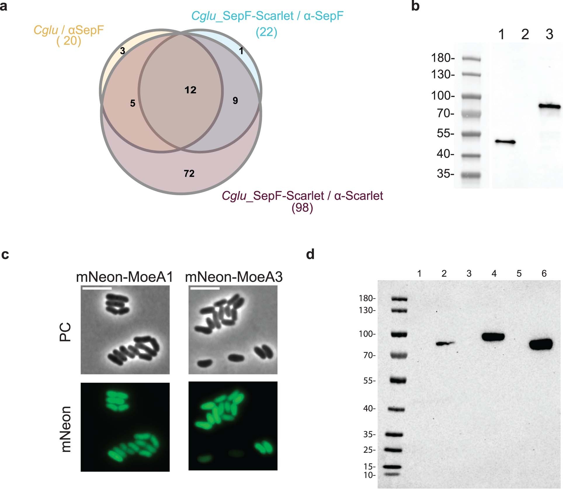 Extended Data Fig. 1