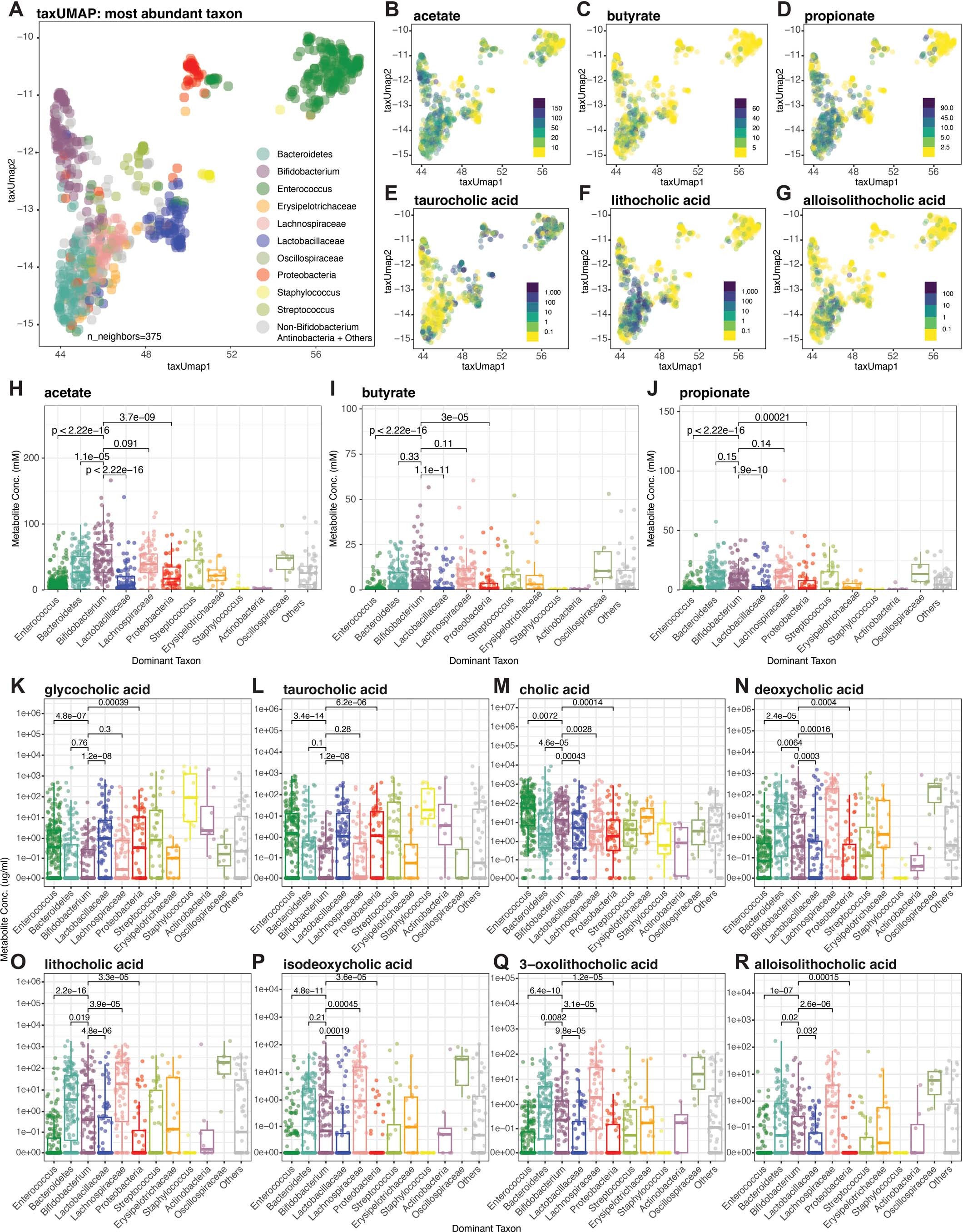 Extended Data Fig. 2: The Bifidobacteria expanded cluster has a distinct short chain fatty acid and bile acid profile.