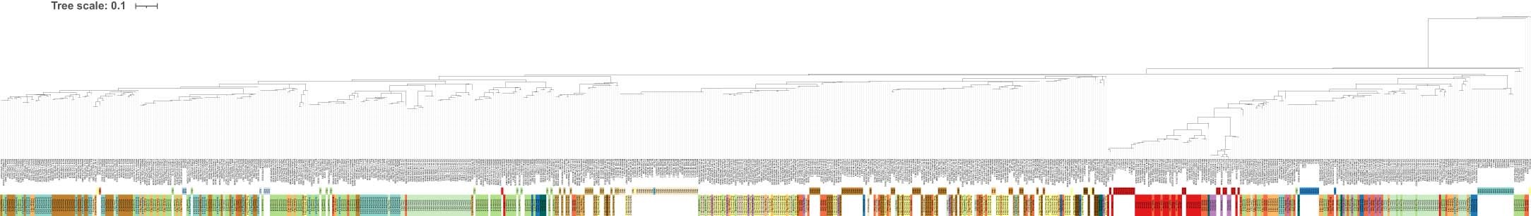 Extended Data Fig. 9: Full phylogenetic trees of SNP genotypes shared between GBS and whole-genome data.