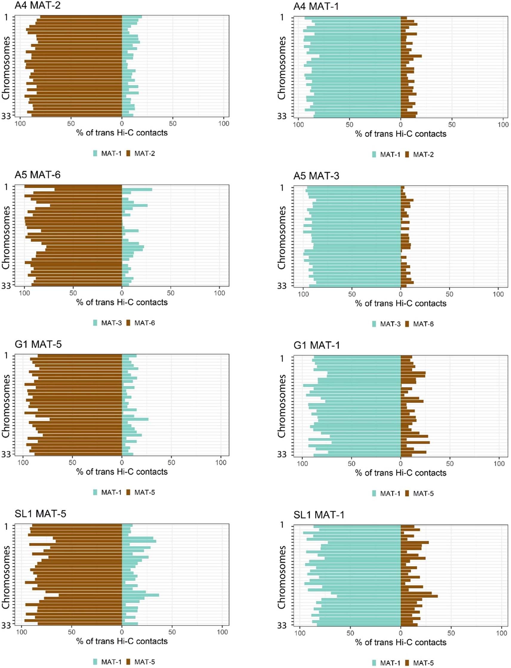 Extended Data Fig. 4: Percentage of Hi-C contacts that link within and between nuclear-separated haplotypes for all AMF heterokaryons.