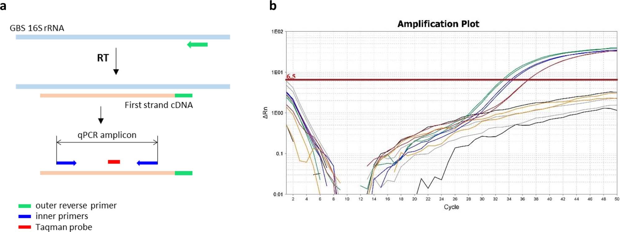 Extended Data Fig. 6