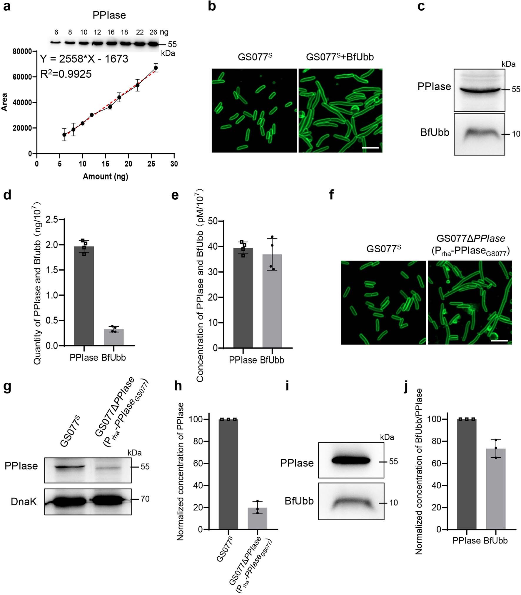 Extended Data Fig. 7: The ratio of PPIase that needs to be targeted by BfUbb to see a cell growth defect.