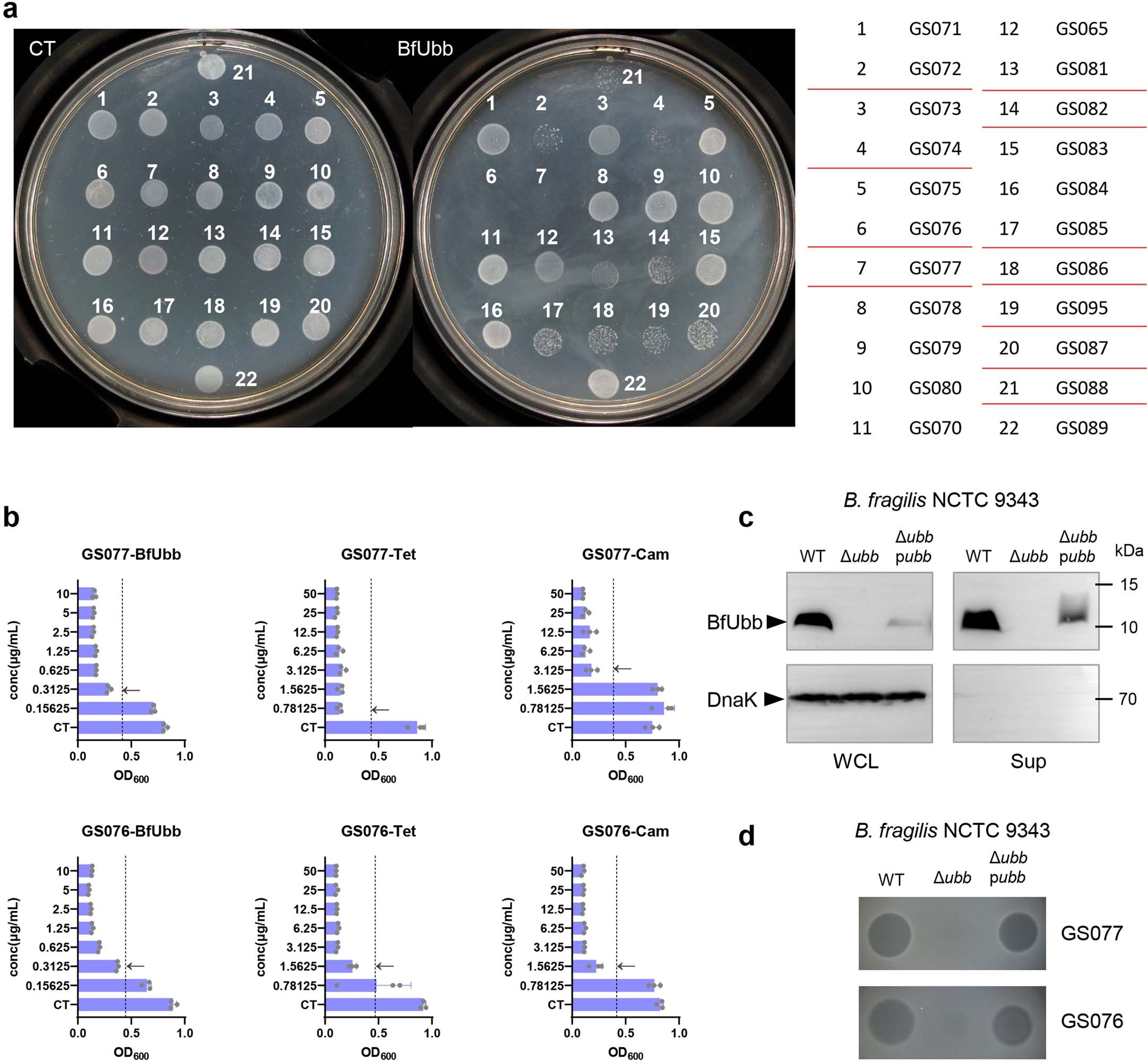 Extended Data Fig. 1: Screening of BfUbb sensitive B. fragilis strains.