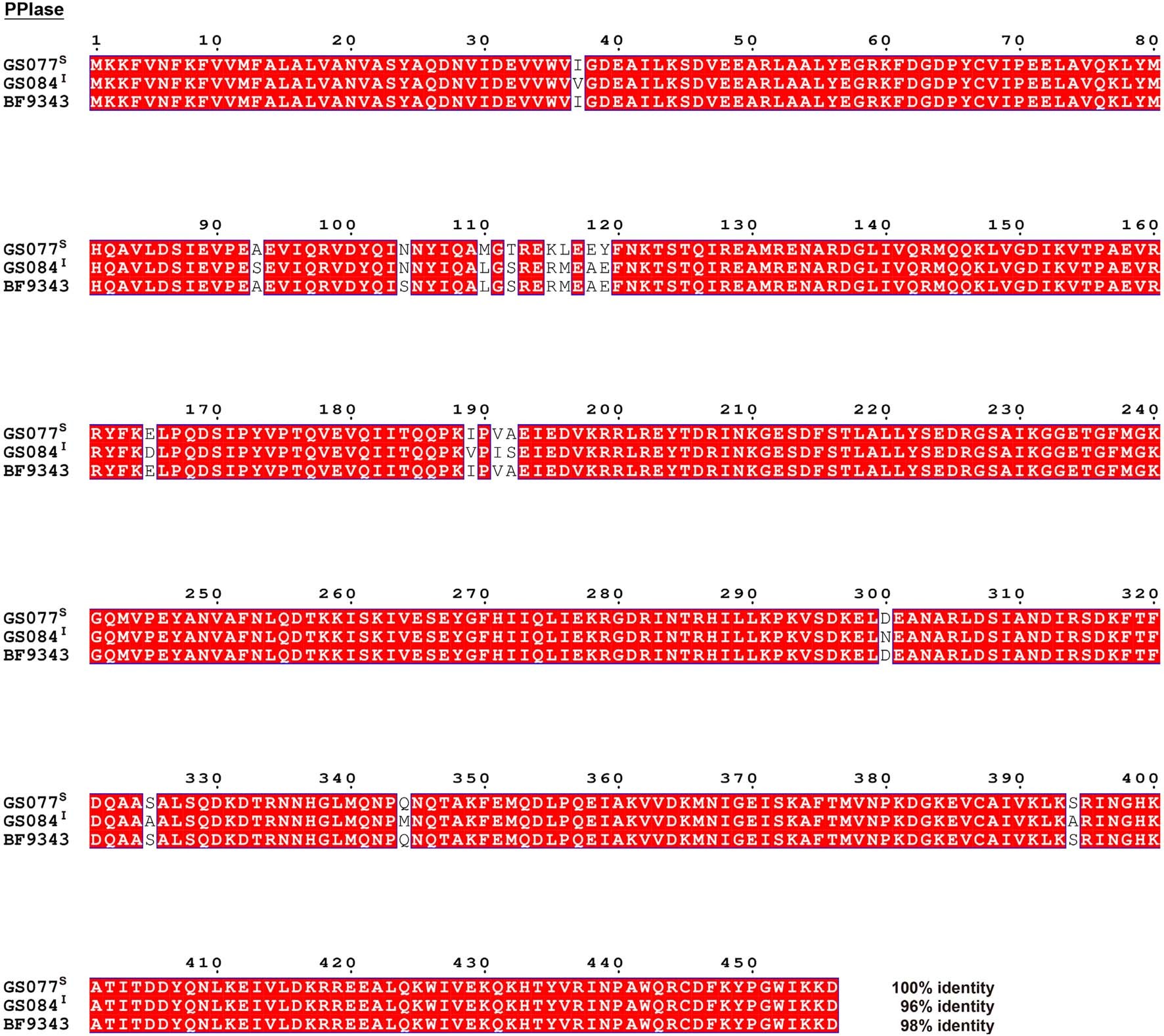 Extended Data Fig. 3: Sequence alignment of PPIase proteins from B. fragilis NCTC 9343, GS077S, and GS084I.