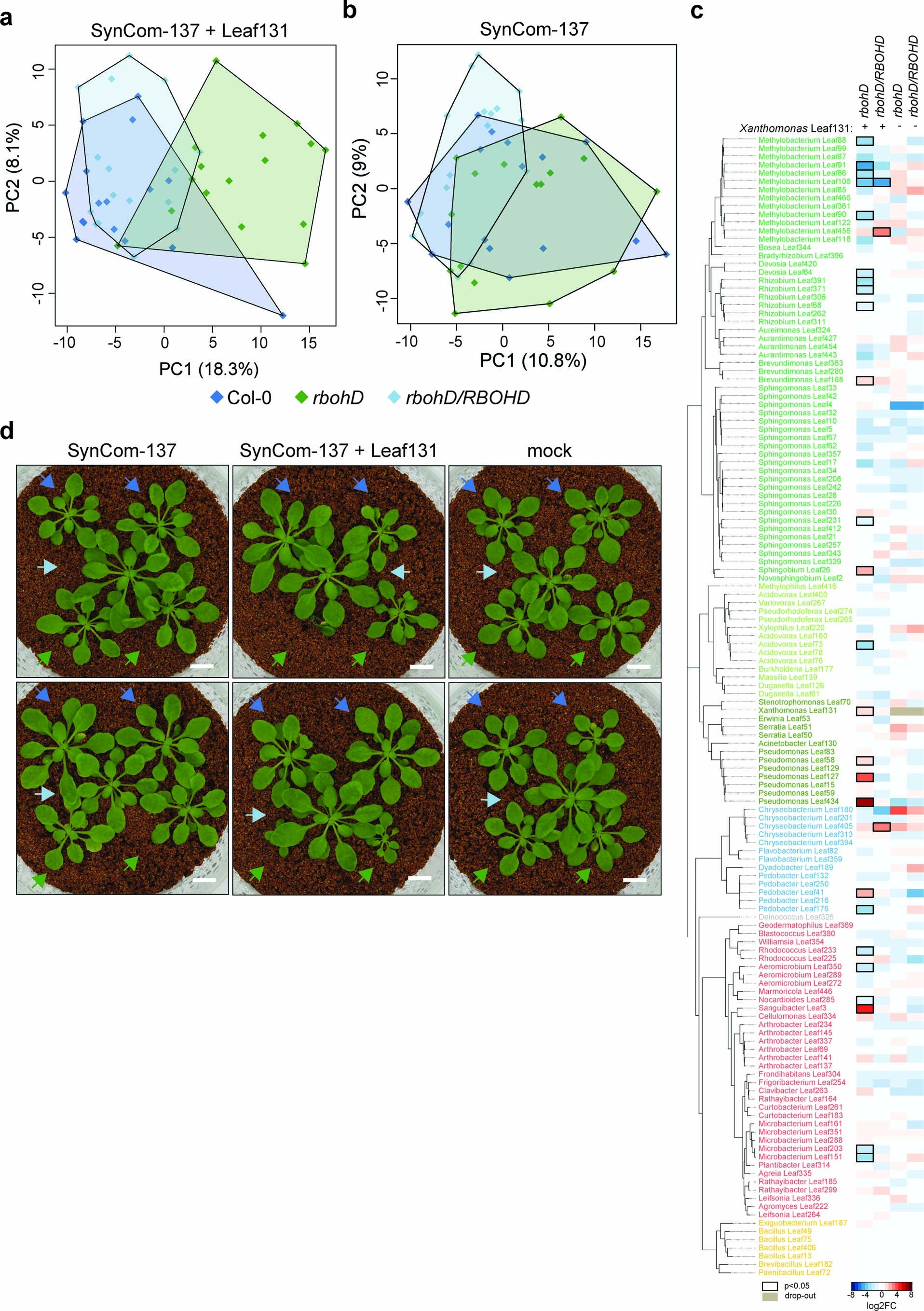 Extended Data Fig. 1