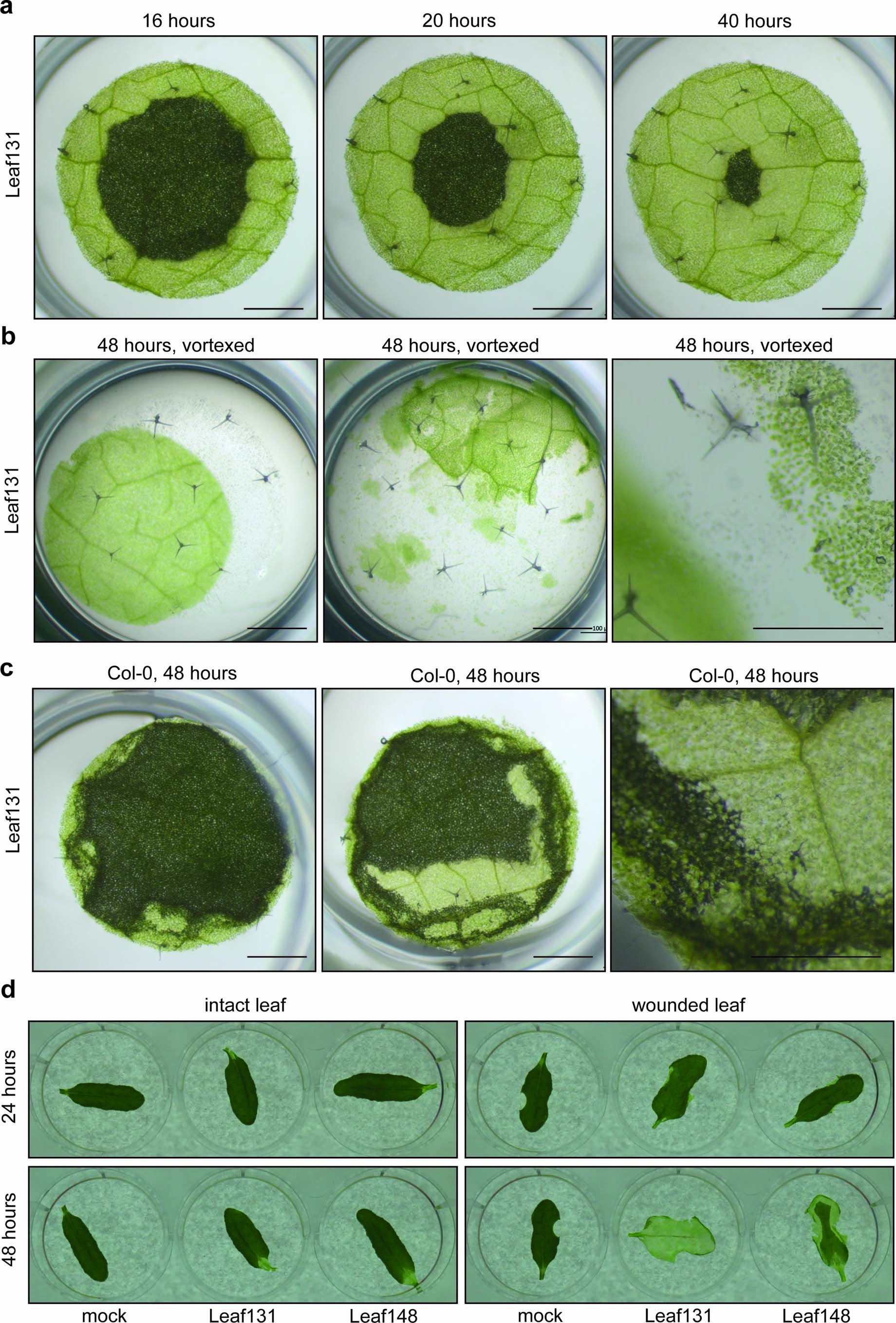 Extended Data Fig. 2