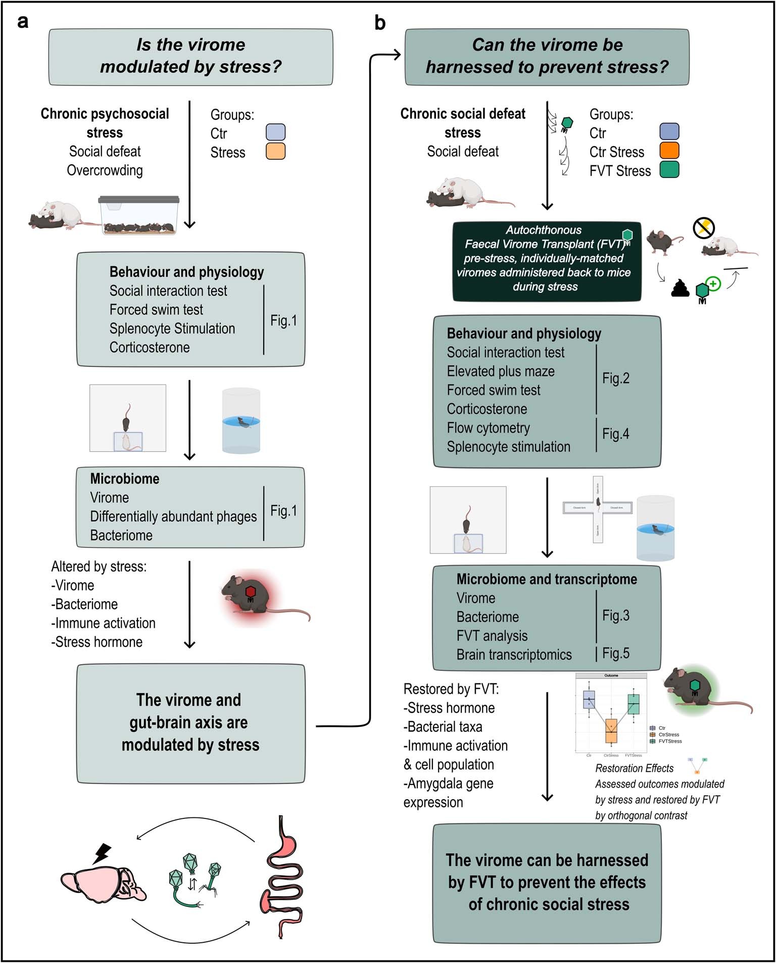 Extended Data Fig. 1: Study workflow summary.