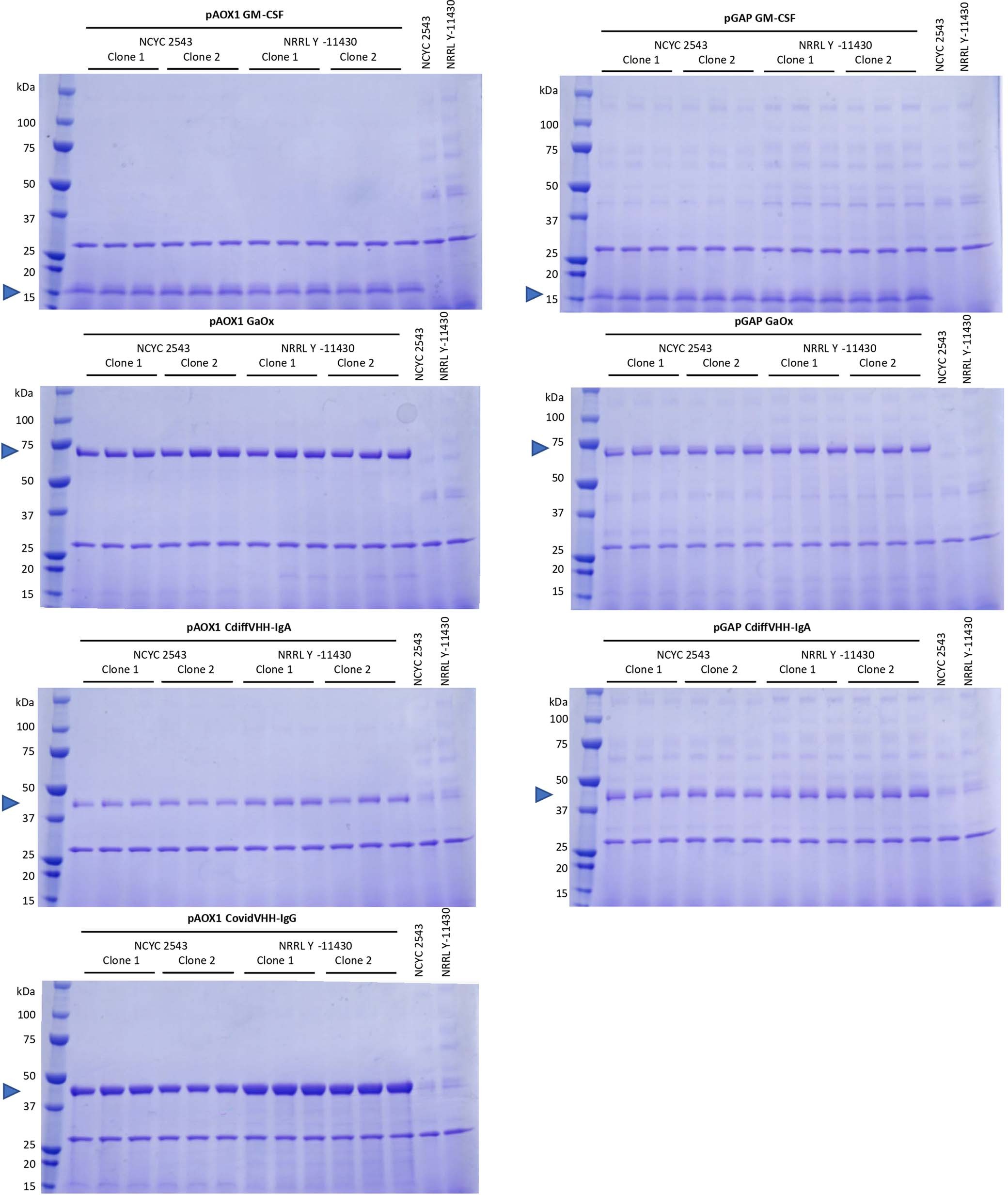 Extended Data Fig. 1