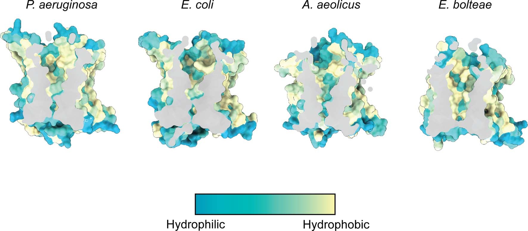 Extended Data Fig. 6