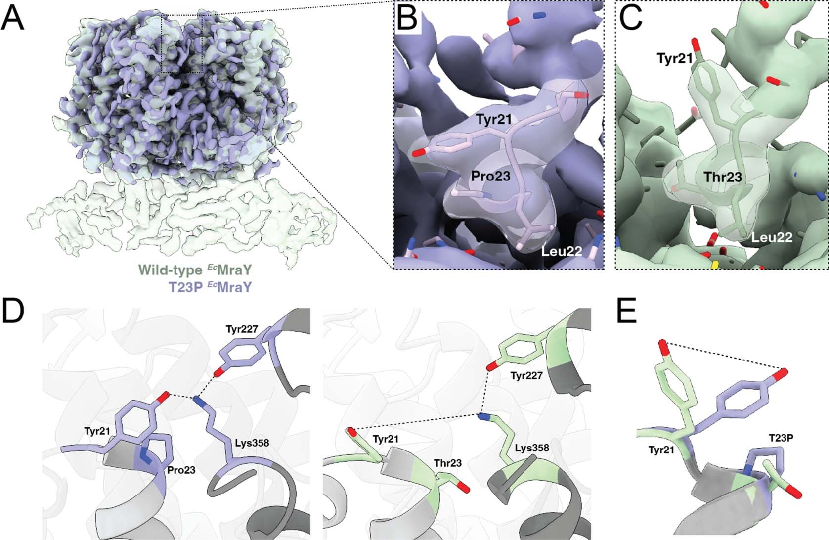 Extended Data Fig. 10