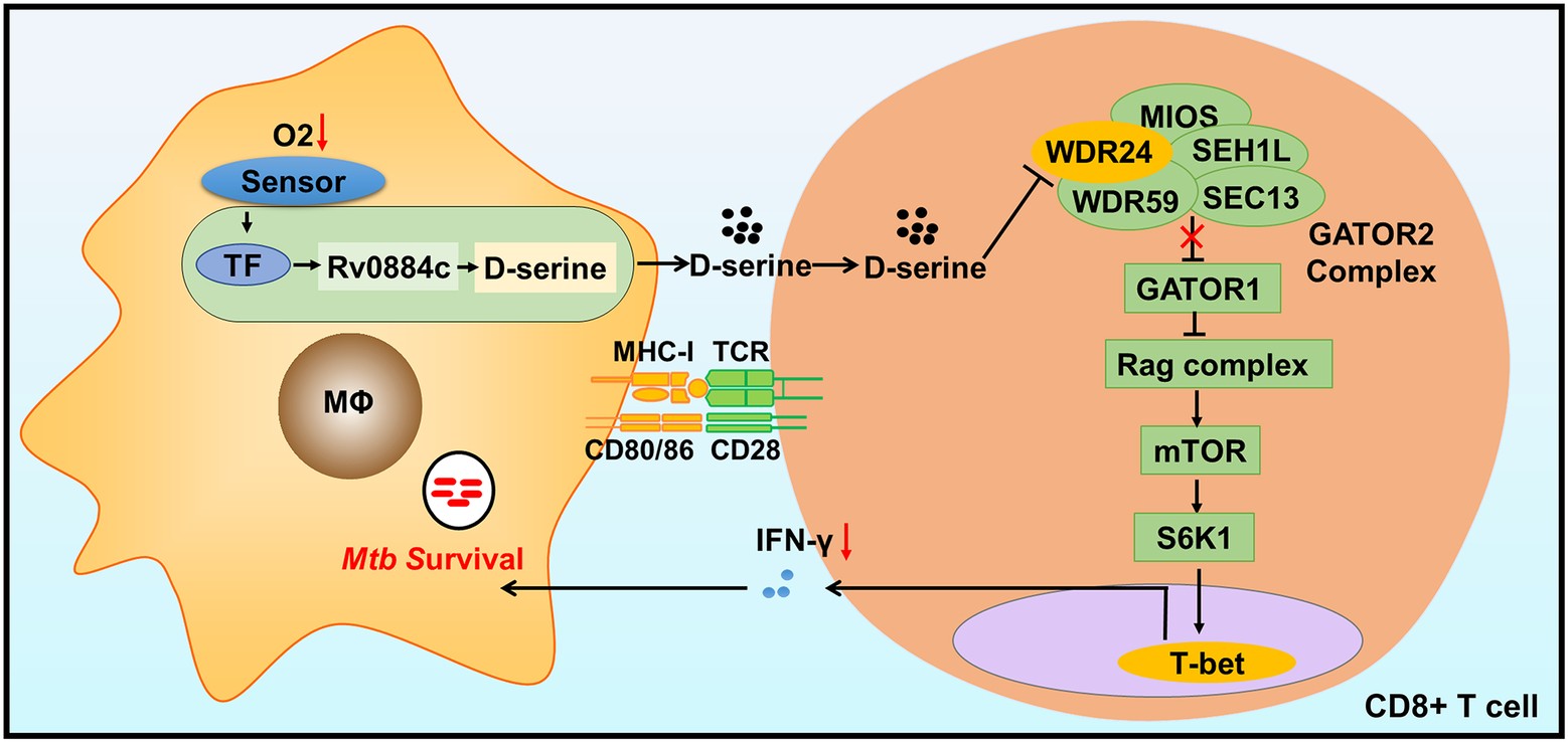 Extended Data Fig. 7