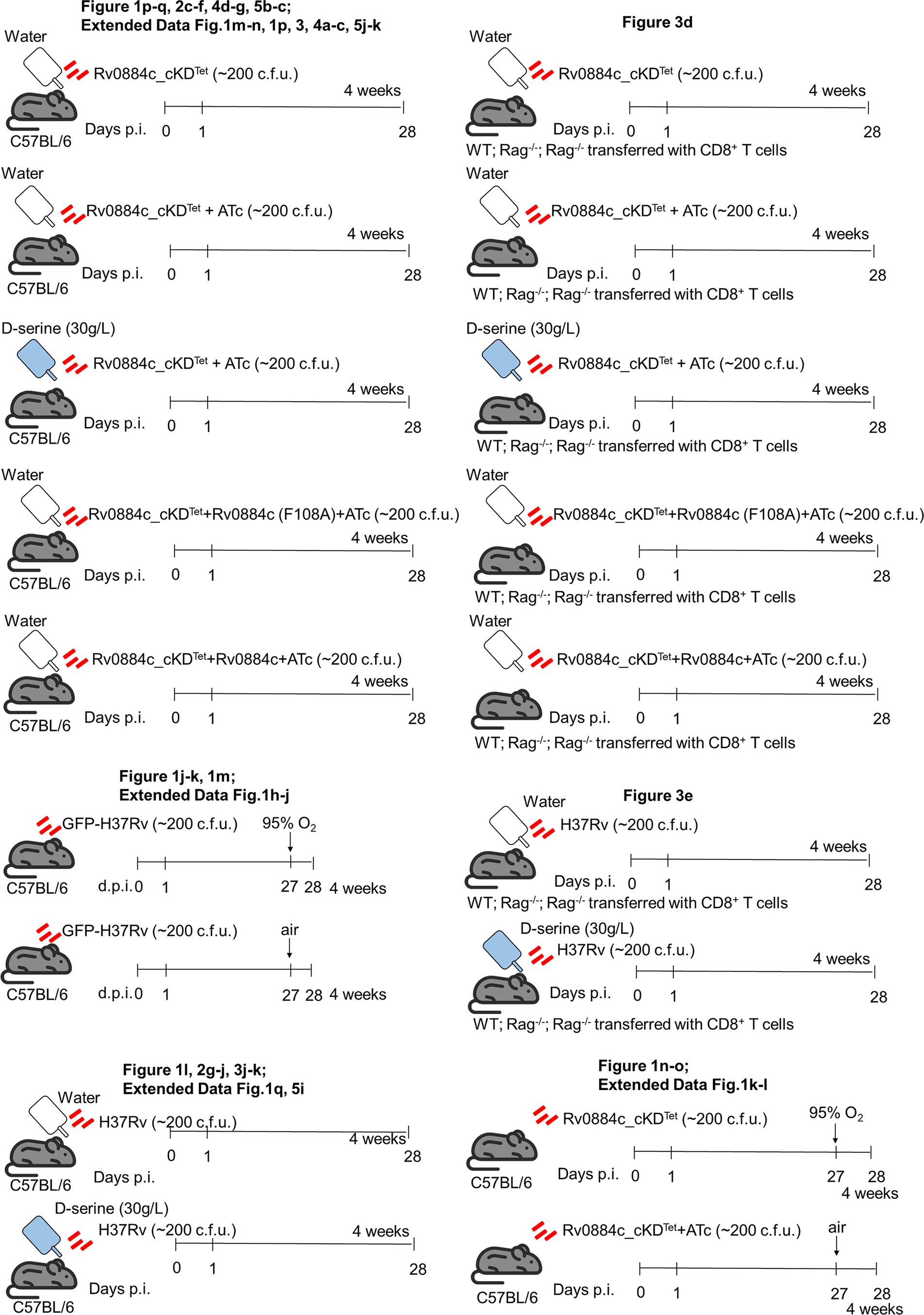 Extended Data Fig. 8