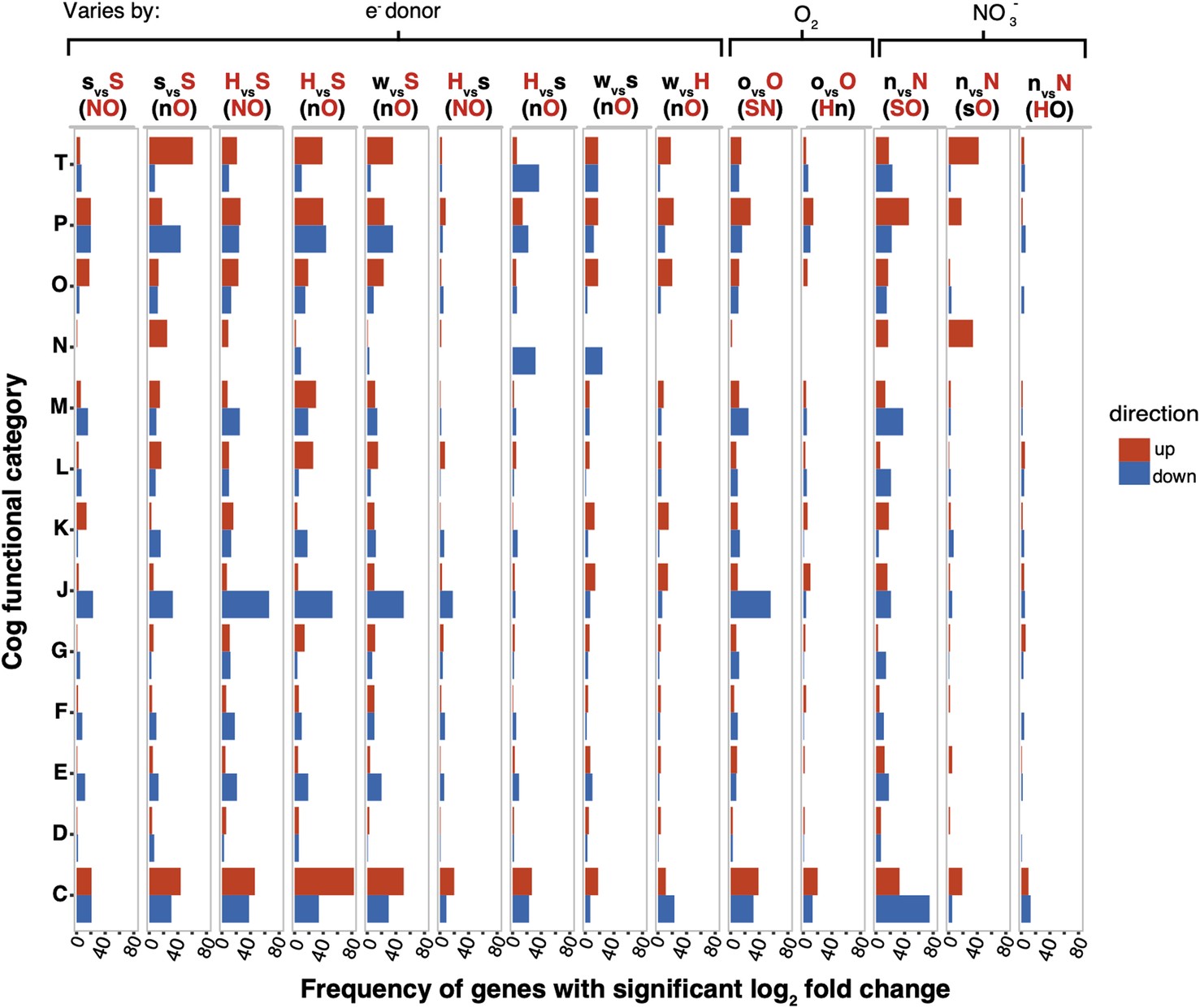 Extended Data Fig. 2: Number of genes that showed significant DE in Cog functional categories.