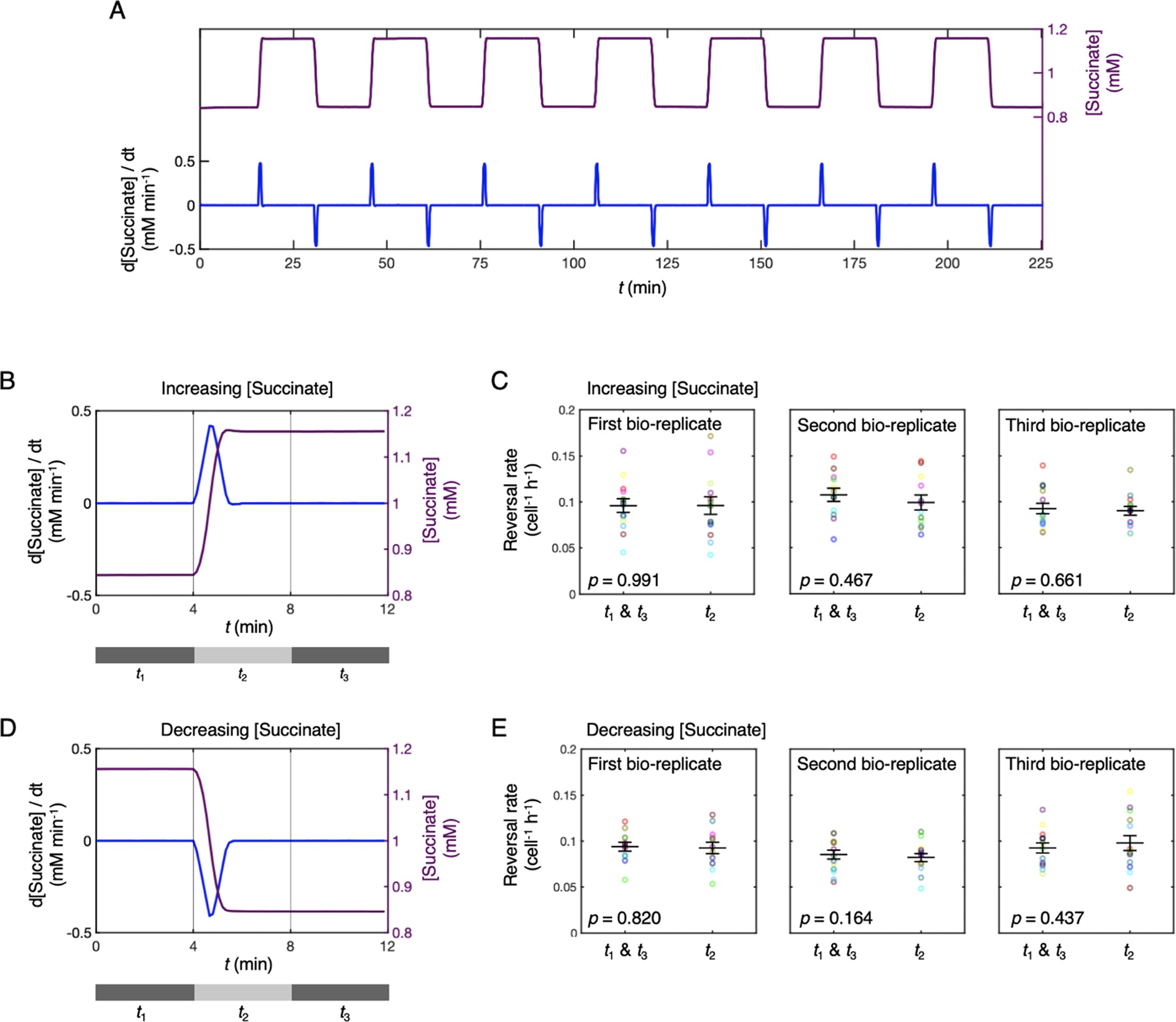 Extended Data Fig. 6: Steep, rapid temporal chemoattractant gradients do not cause surface-attached P. aeruginosa cells to change their reversal rate.