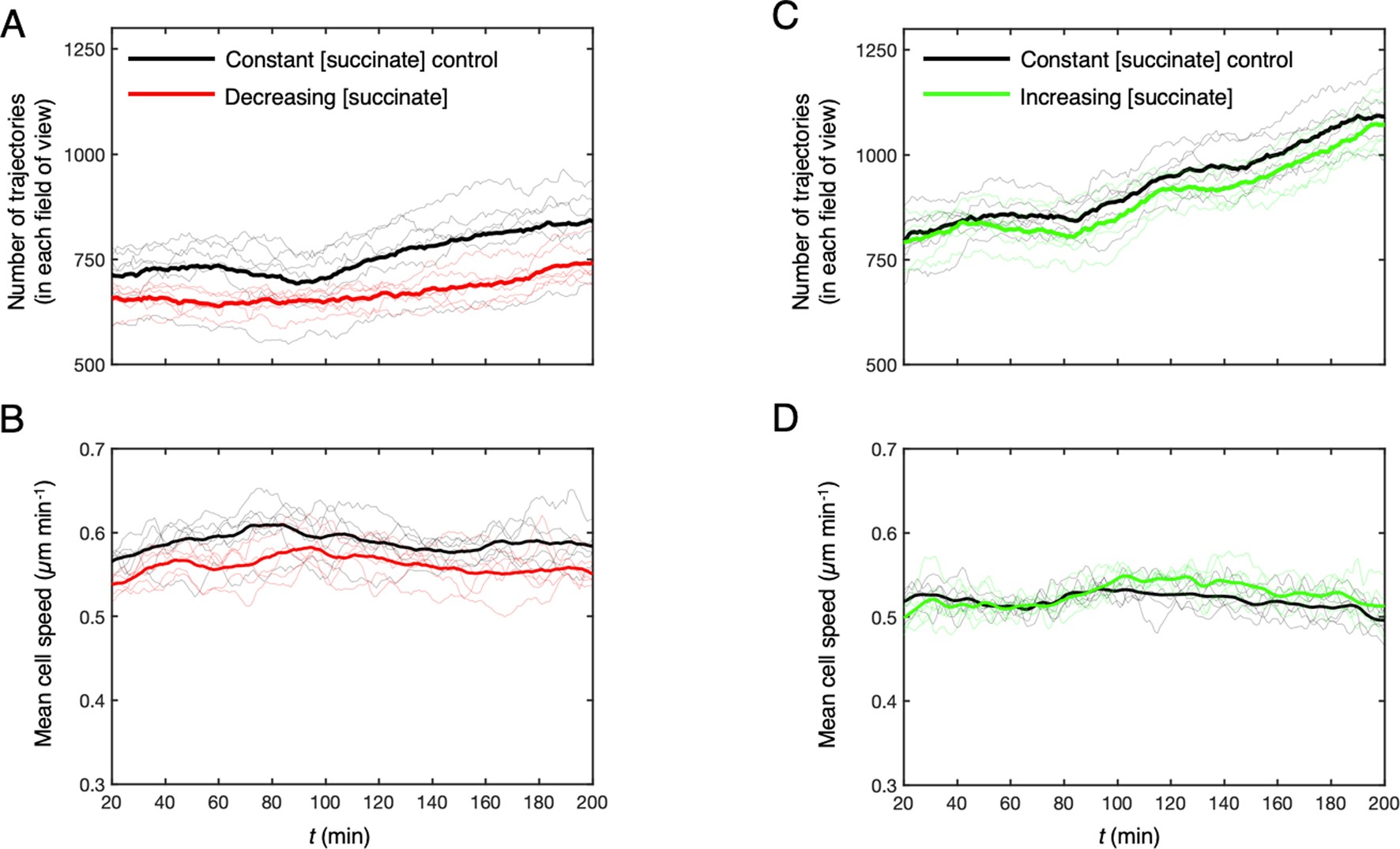 Extended Data Fig. 2: The effect of succinate on cells in our Taylor-Aris dispersion experiments.