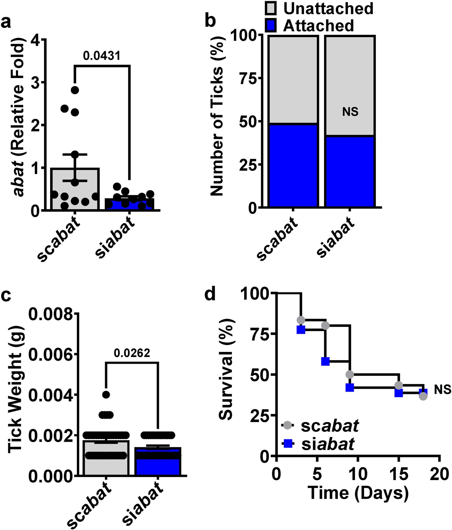 Extended Data Fig. 6: Effect of abat silencing on tick fitness.