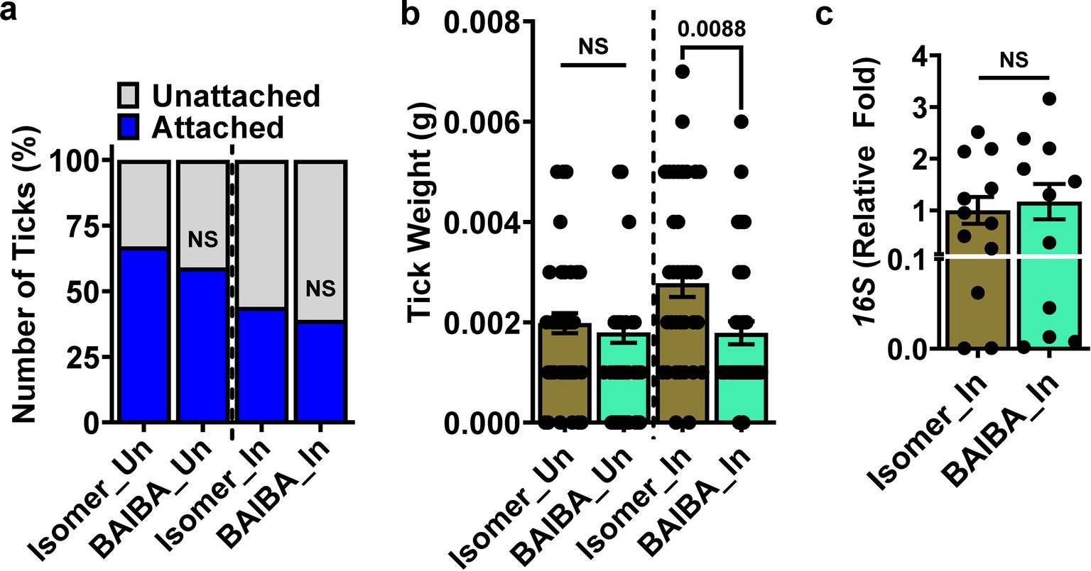 Extended Data Fig. 8: Fitness in ticks microinjected with BAIBA and chronically infected with A. phagocytophilum.