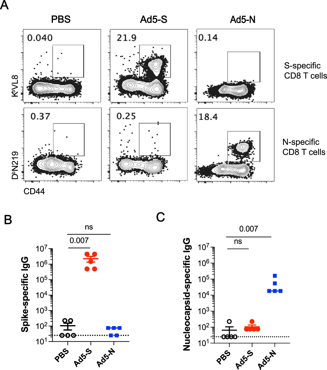 Extended Data Fig. 1: Ad5-S and Ad5-N vaccines elicit robust humoral and cellular immunity against target antigens.