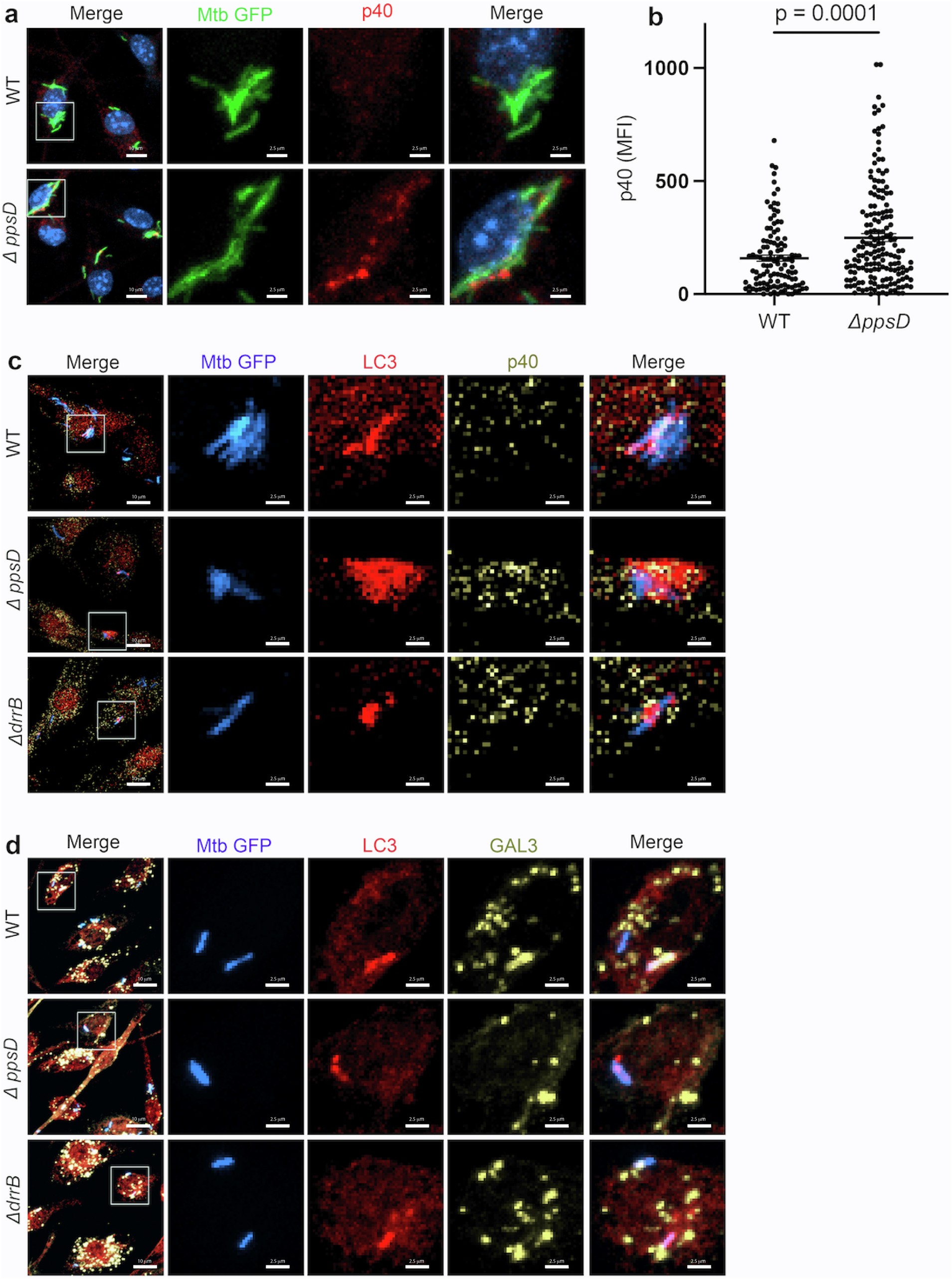 Extended Data Fig. 3