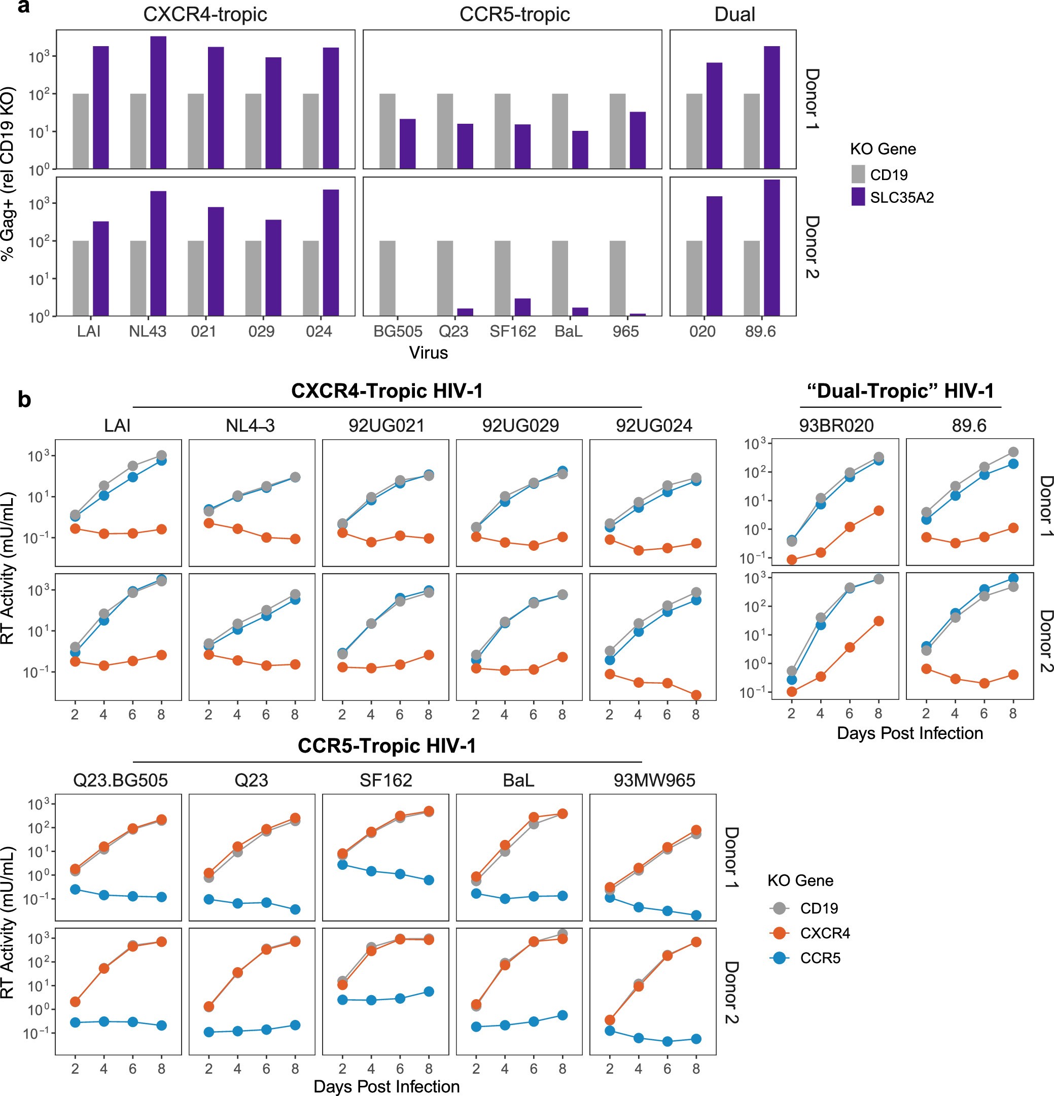 Extended Data Fig. 2: SLC35A2 KO differentially impacts CXCR4-tropic and CCR5-tropic HIV-1, related to Figure 2e.