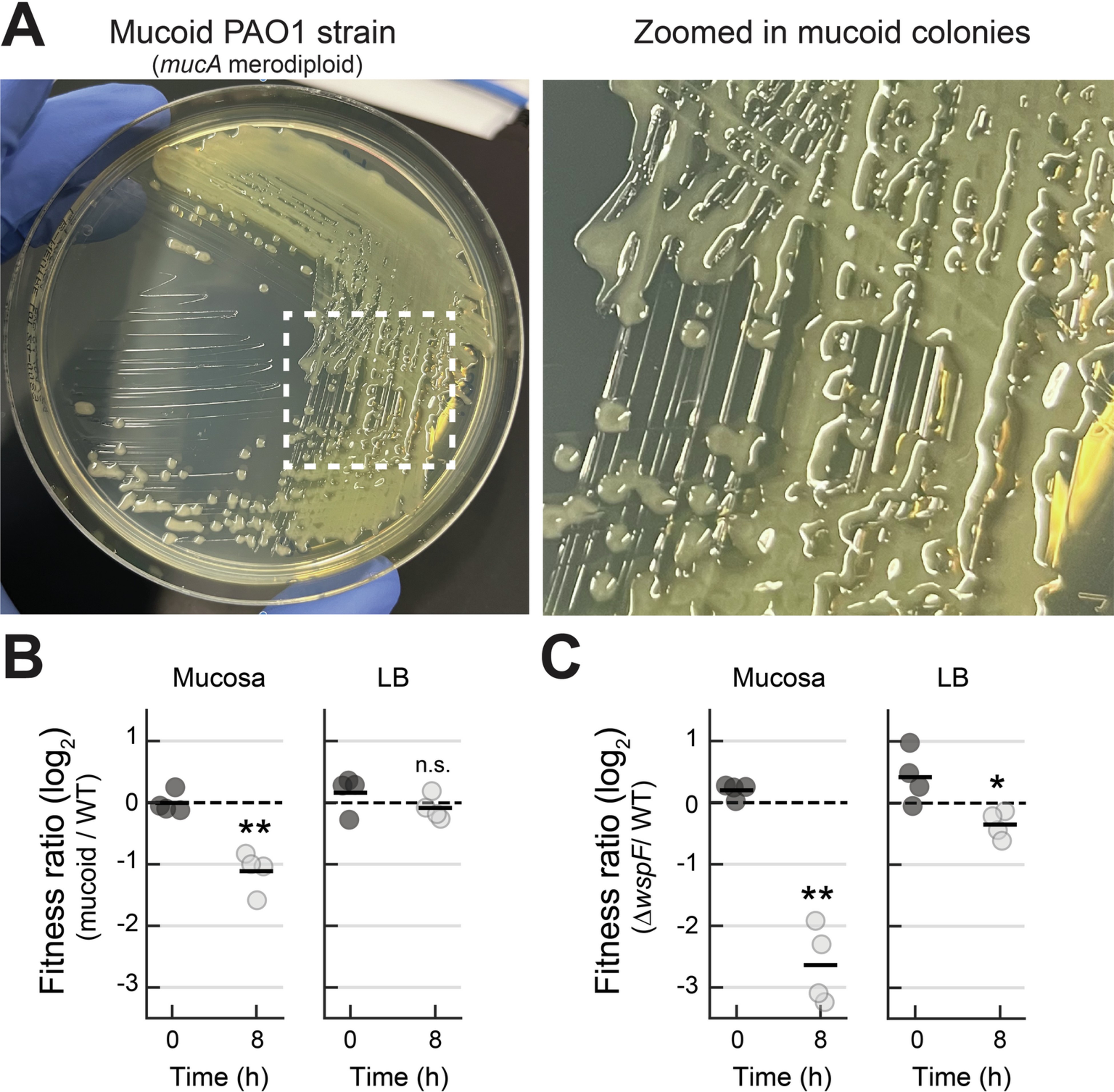 Extended Data Fig. 5