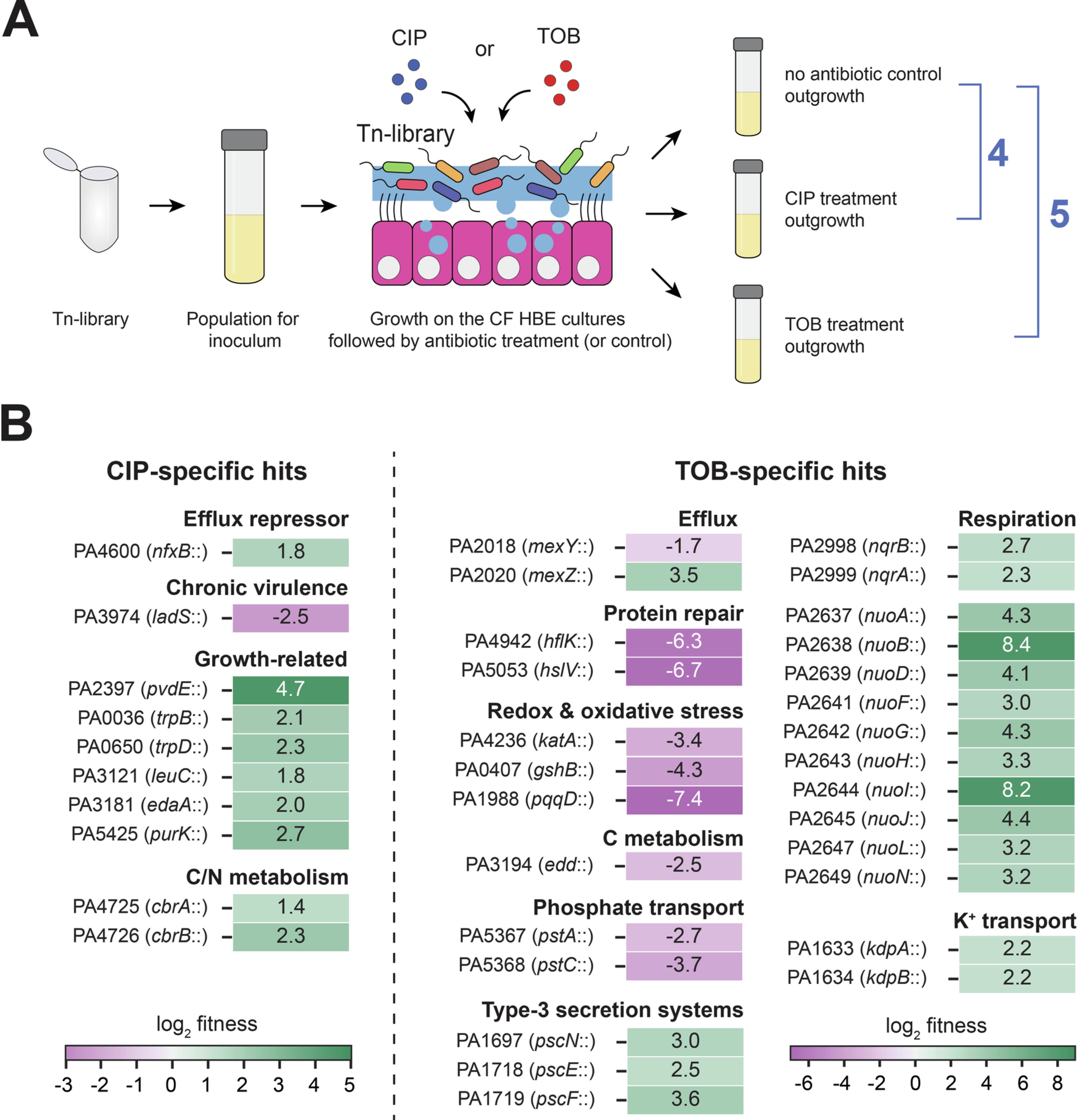 Extended Data Fig. 8