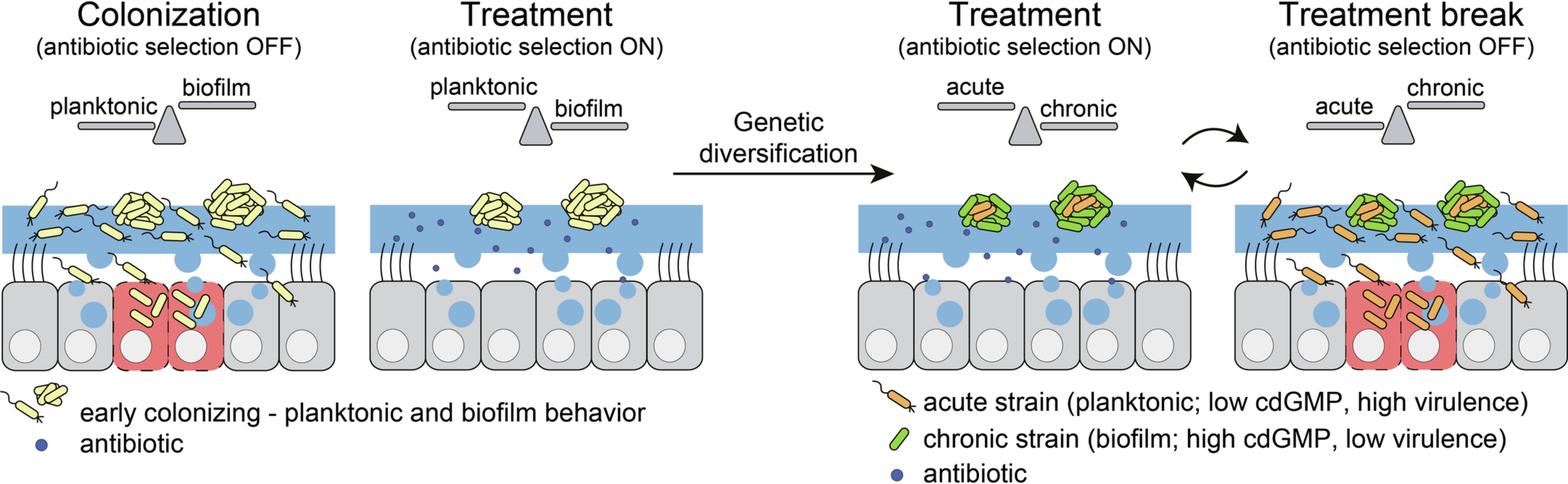Extended Data Fig. 10