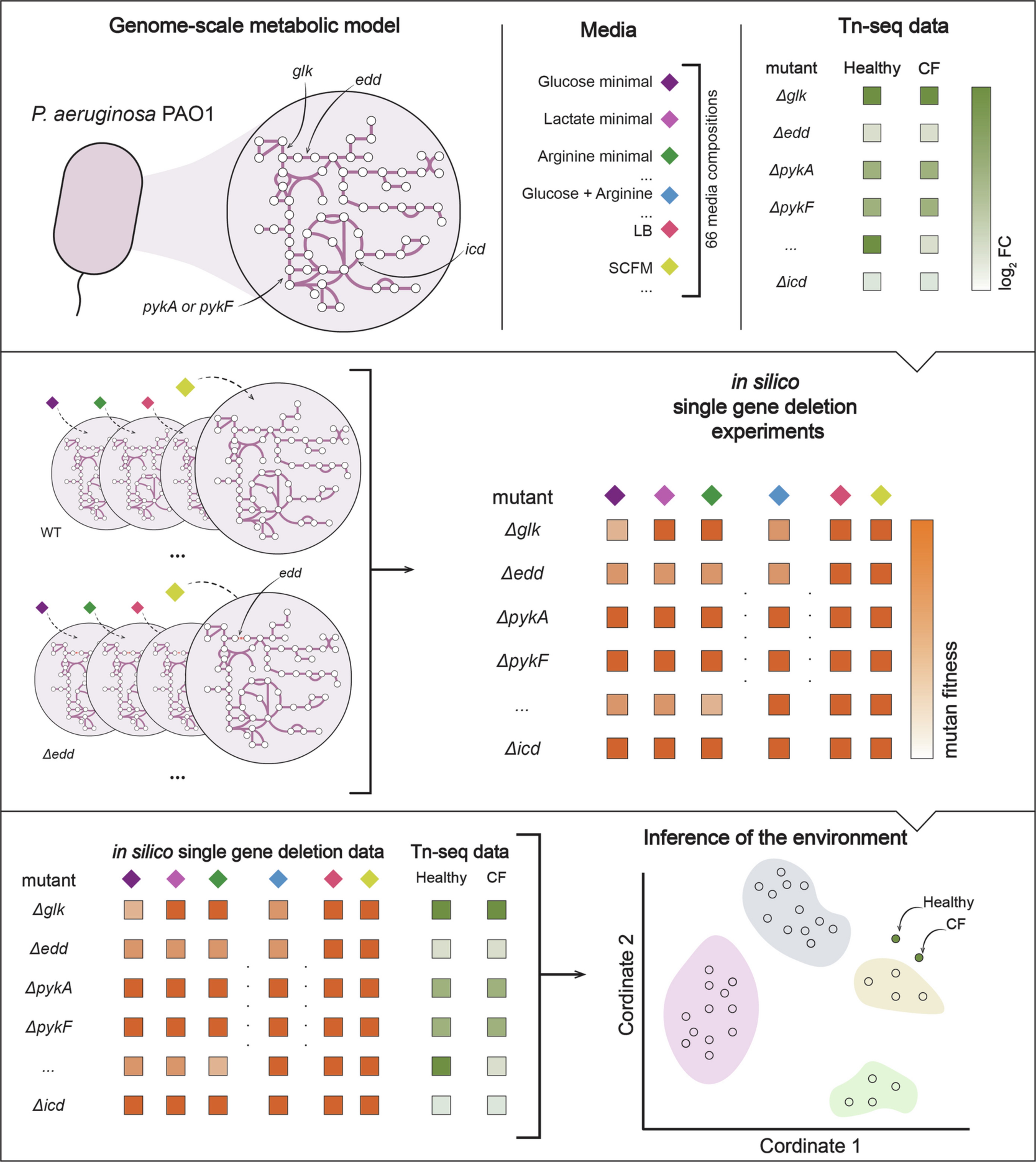 Extended Data Fig. 3