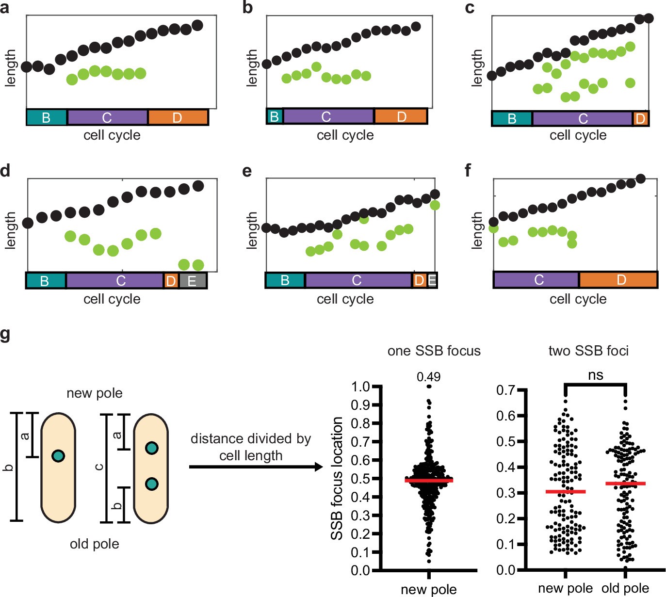 Extended Data Fig. 1