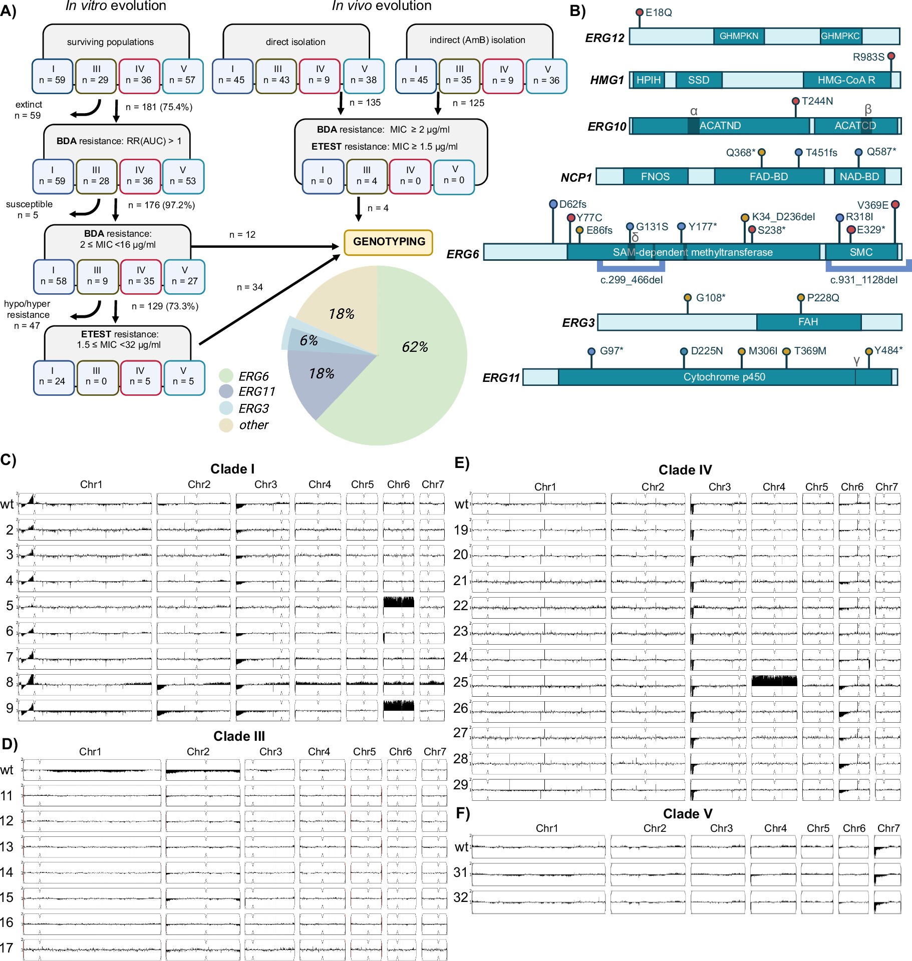 Extended Data Fig. 1: Strain selection and genotyping.