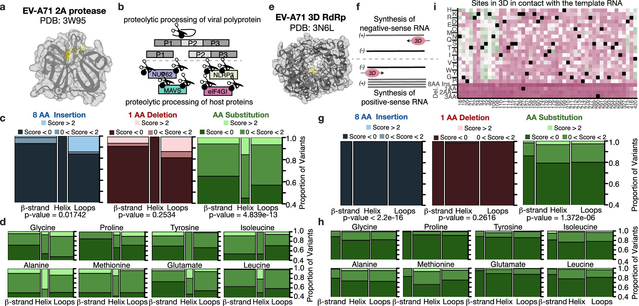 Extended Data Fig. 5: Structural interpretation of InDel fitness effects for 2A(pro) and 3D(pol).