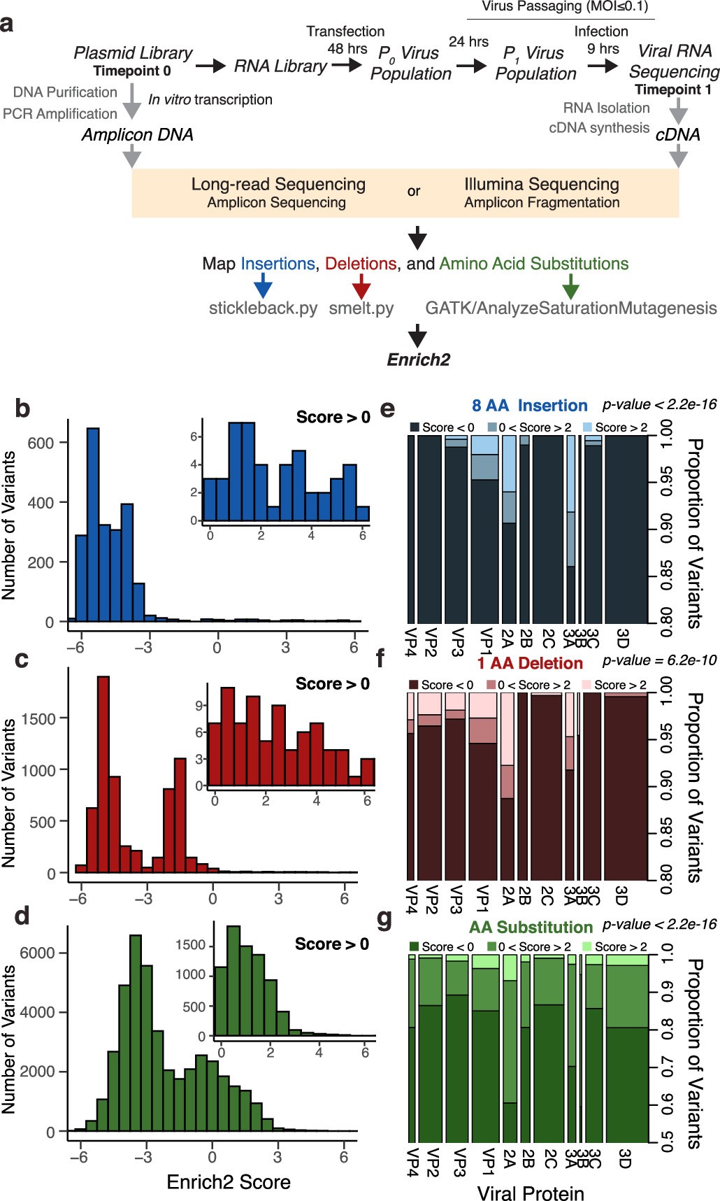 Extended Data Fig. 1: Distribution of Enrich2 scores and protein specific classification of tolerance.