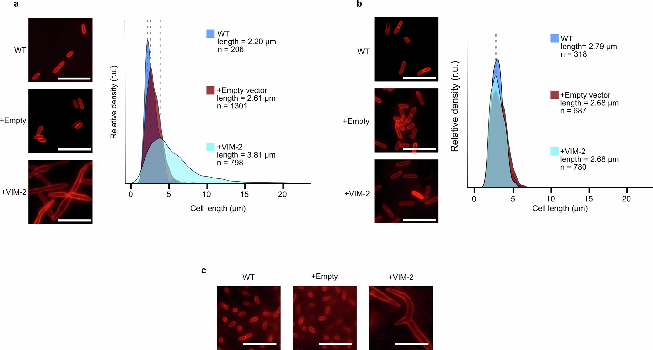 Extended Data Fig. 4
