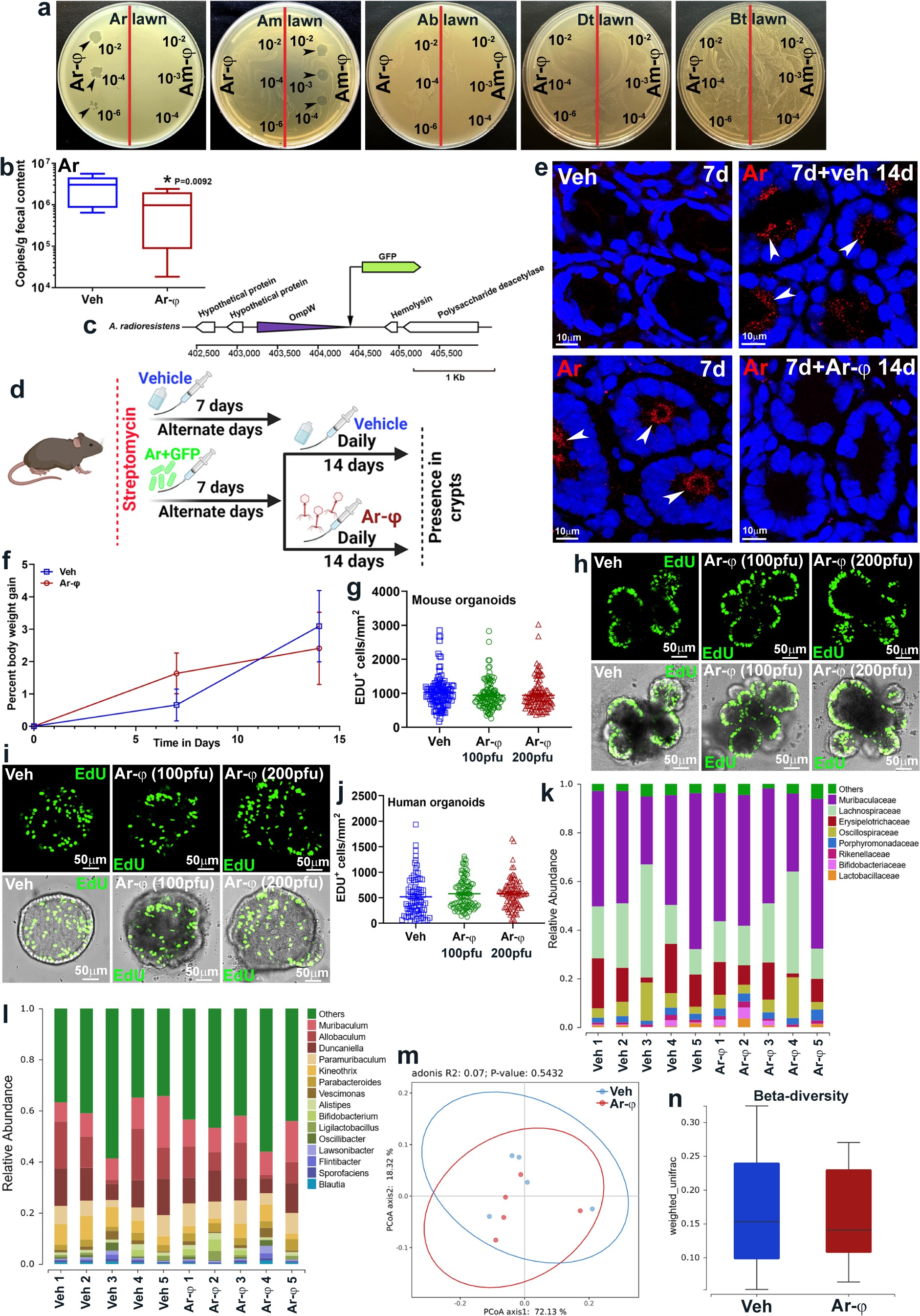 Extended Data Fig. 5