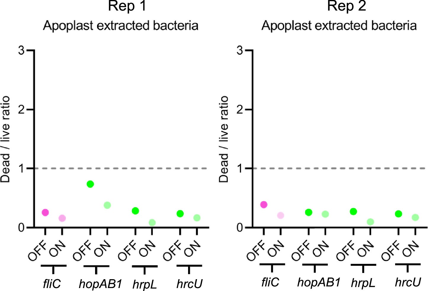 Extended Data Fig. 5: Dead-live staining shows neither bias towards FlagellaON cells nor for T3SSOFF cells during plant growth.