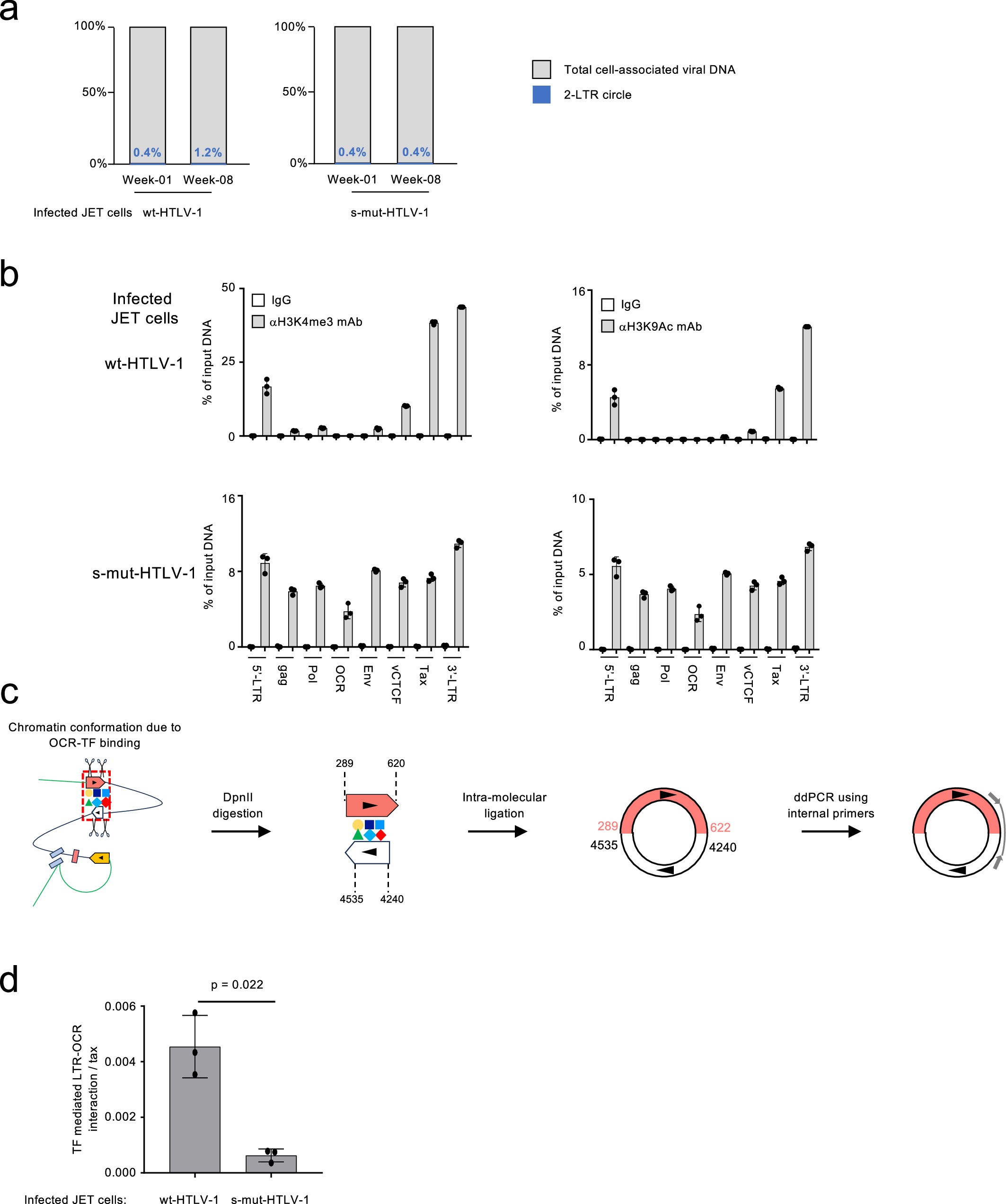 Extended Data Fig. 5: Epigenetic characteristics observed in proviral regions infected with wild-type (wt) or silencer-mutated (s-mut) HTLV-1.