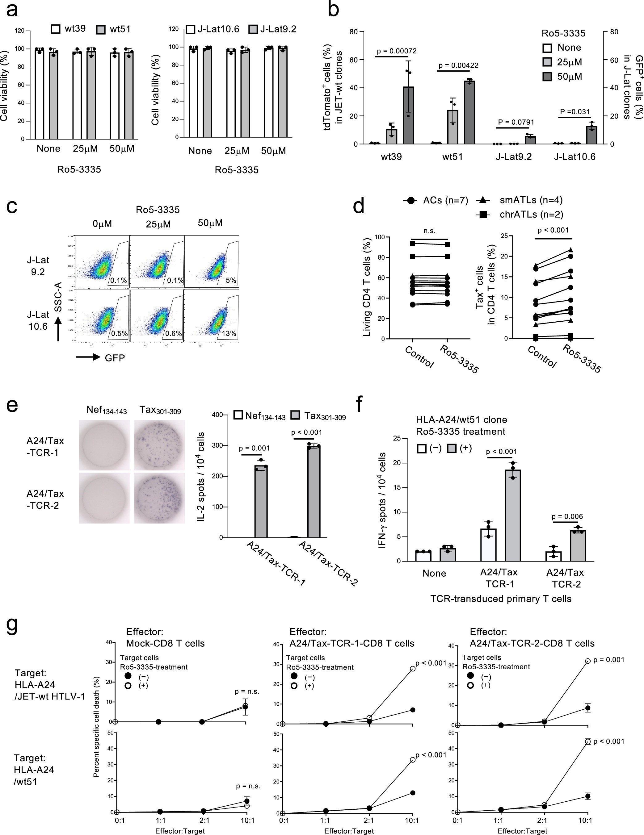 Extended Data Fig. 6: Effect of RUNX1 inhibitor (Ro 5-3335) on proviral expression and immunogenicity against anti-Tax CTL.