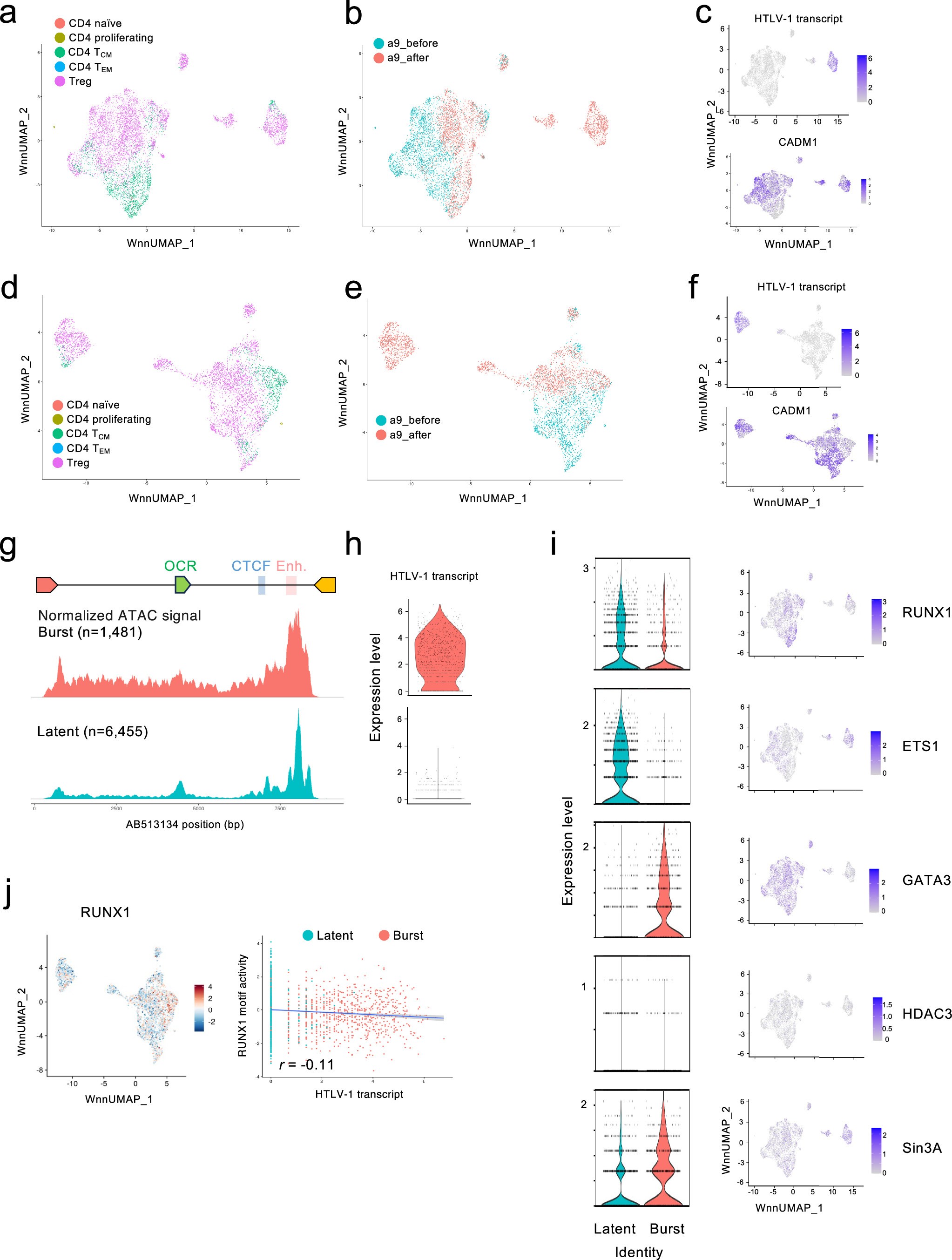Extended Data Fig. 9: Single Cell Multiome analysis of CD4 + T cells from a smoldering ATL case (a9).