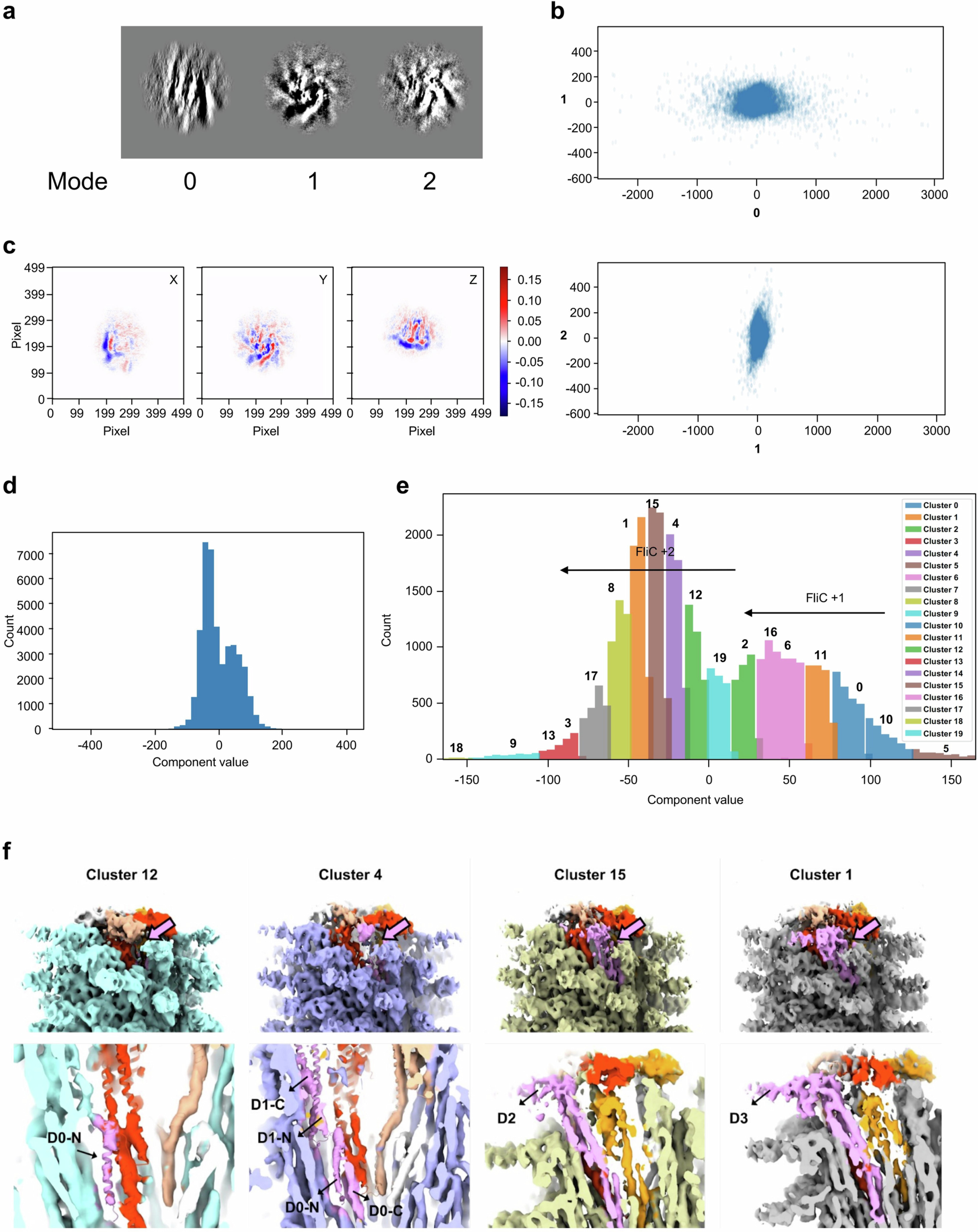 Extended Data Fig. 3: 3D variability analysis of FliD-FliC complex.