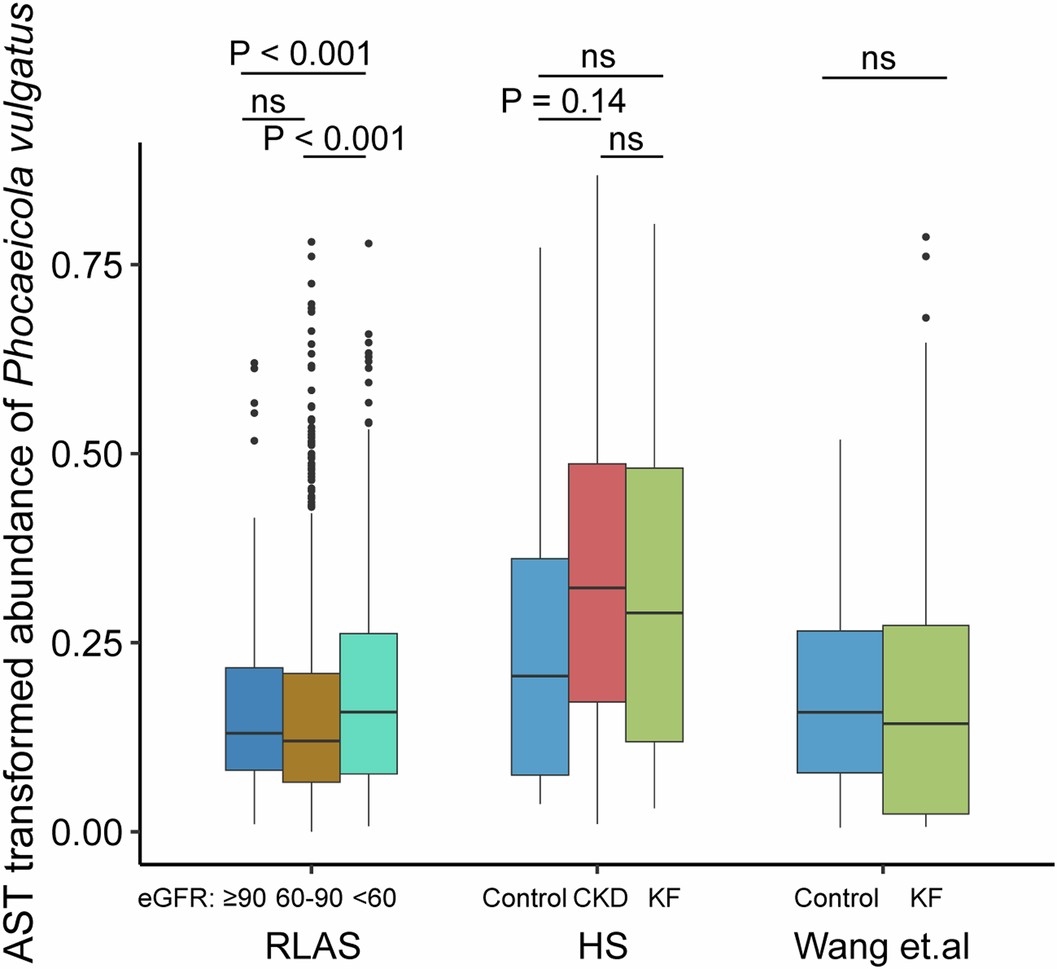 Extended Data Fig. 3: Association of Phocaeicola vulgatus with kidney function.