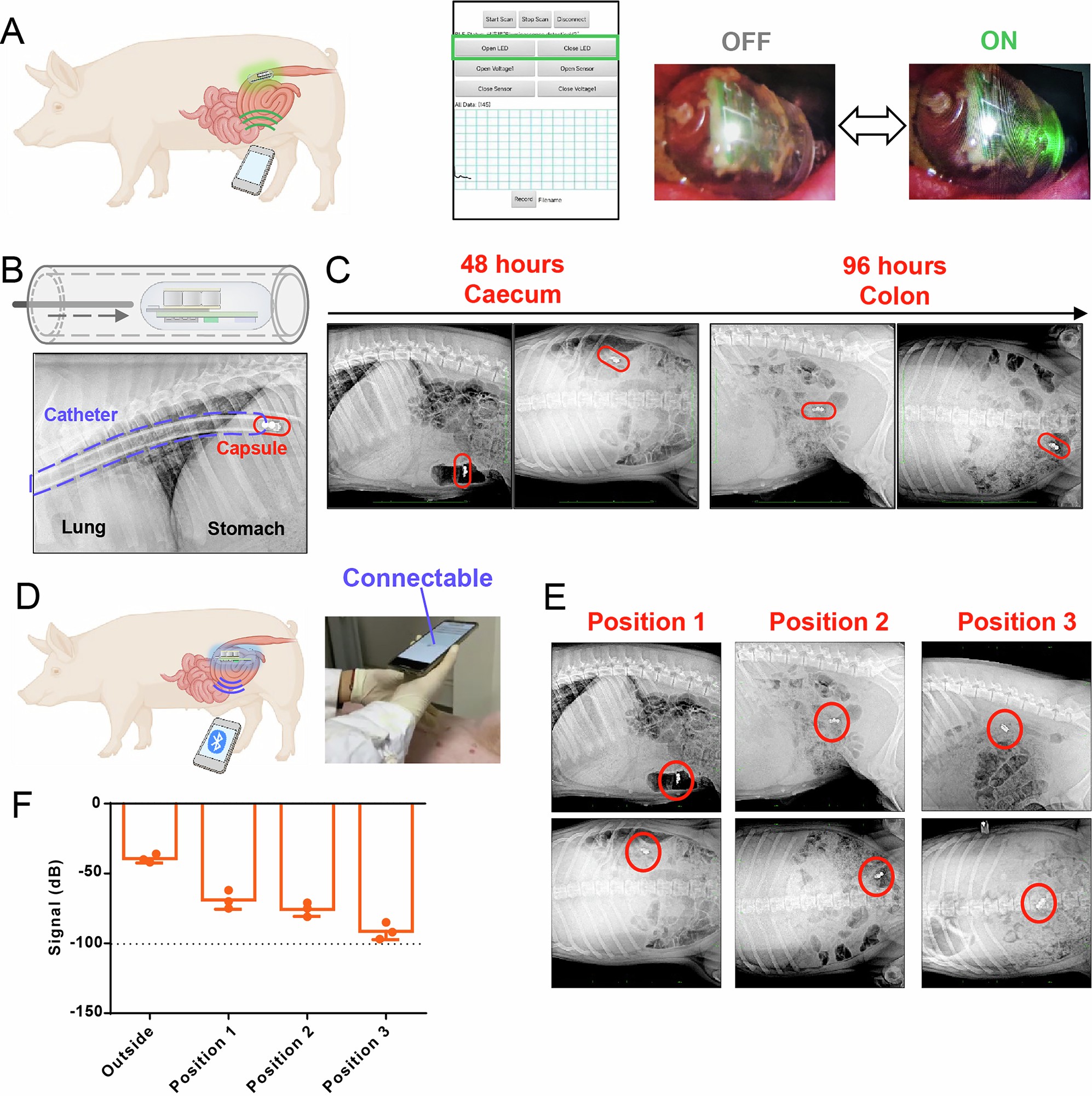 Extended Data Fig. 7: Characterization of optoelectronic capsule orally administrated by live pig.