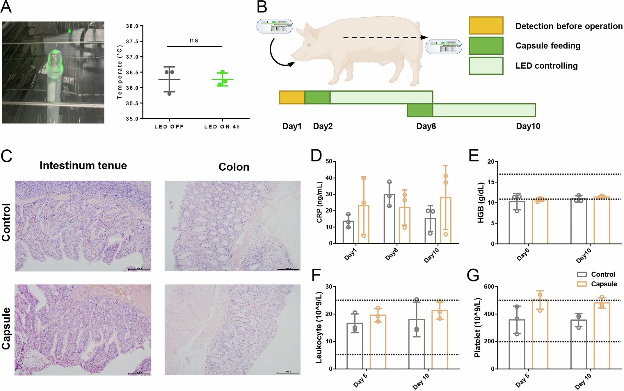Extended Data Fig. 8: Biosafety accessing of optoelectronic capsule.
