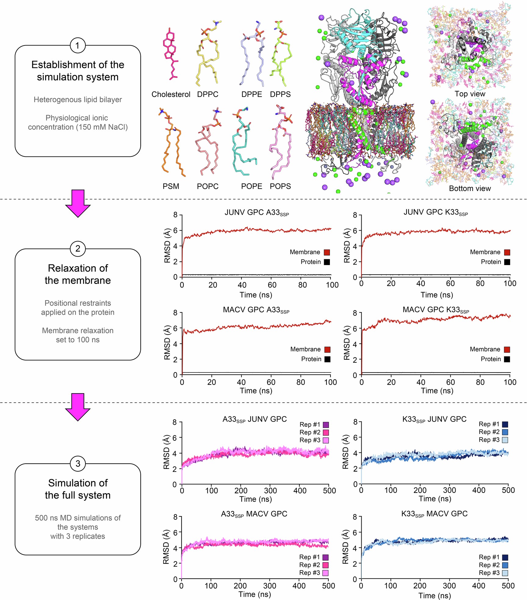 Extended Data Fig. 7: Molecular dynamics simulation workflow.