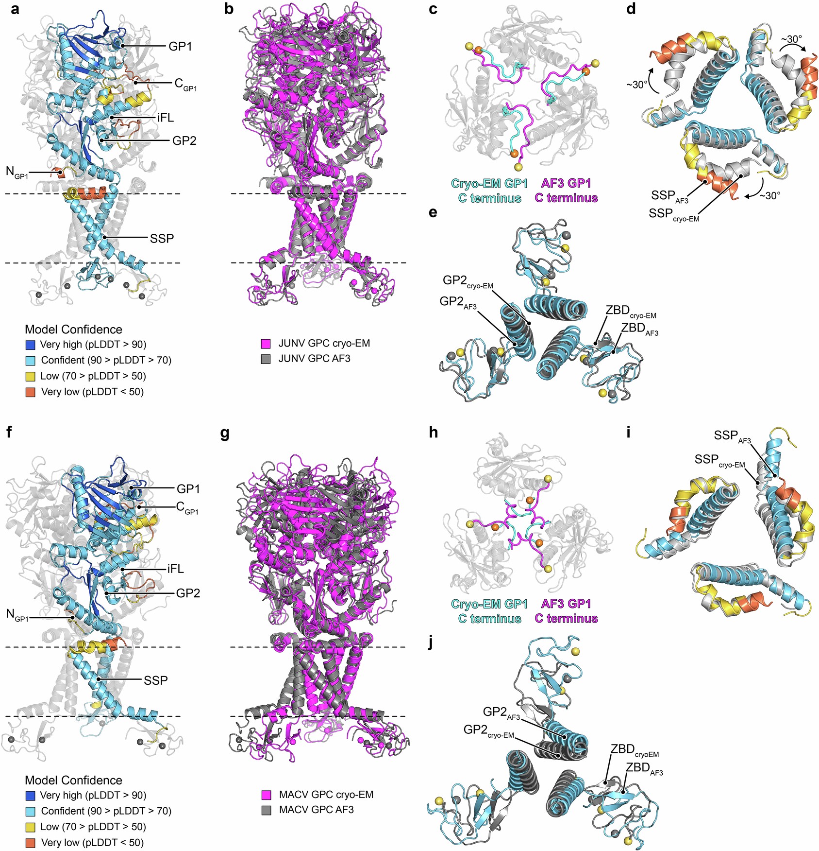 Extended Data Fig. 9: Comparison of JUNV and MACV GPC cryo-EM structures and AlphaFold 3 predictions.