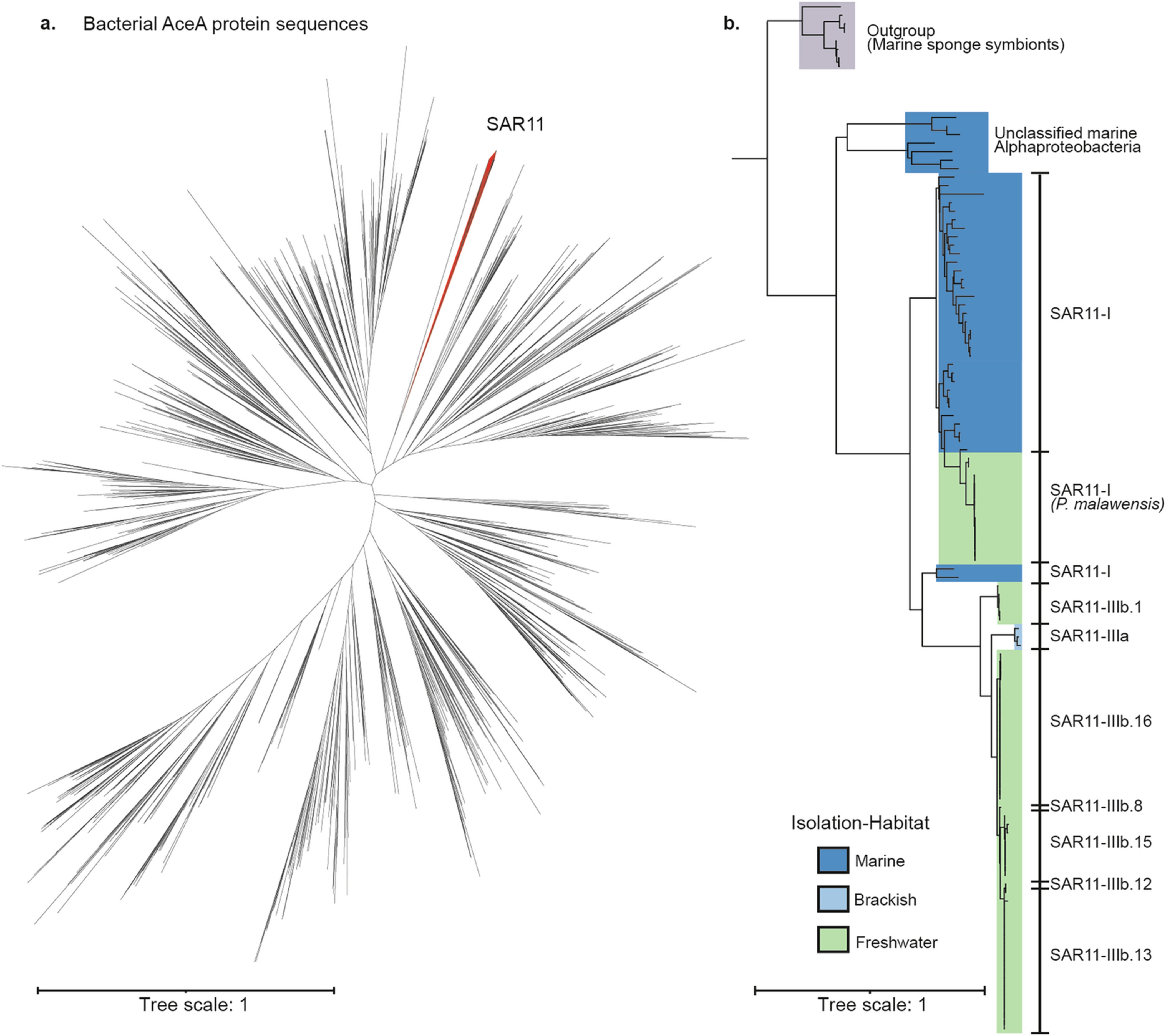 Extended Data Fig. 9