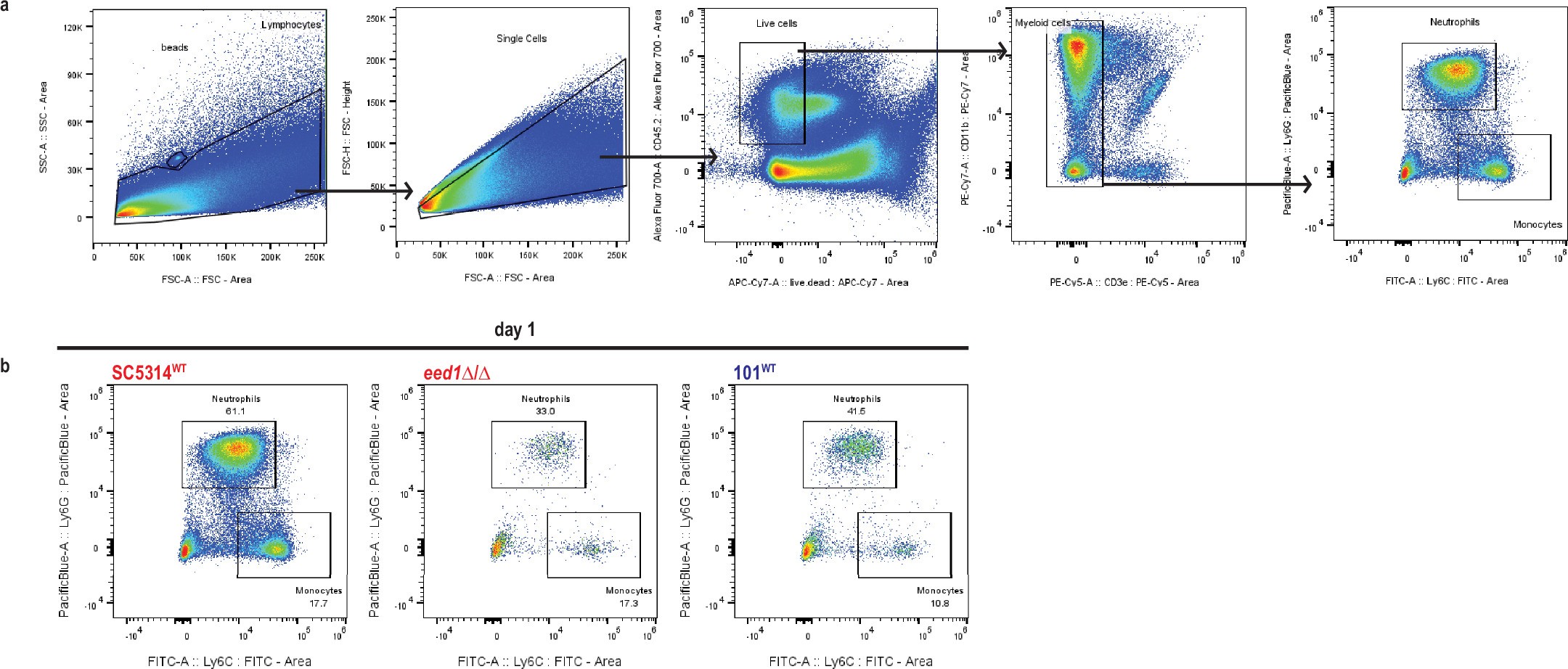 Extended Data Fig. 5: Tight regulation of ECE1 expression ensures commensalism by evading the inflammatory immune response.