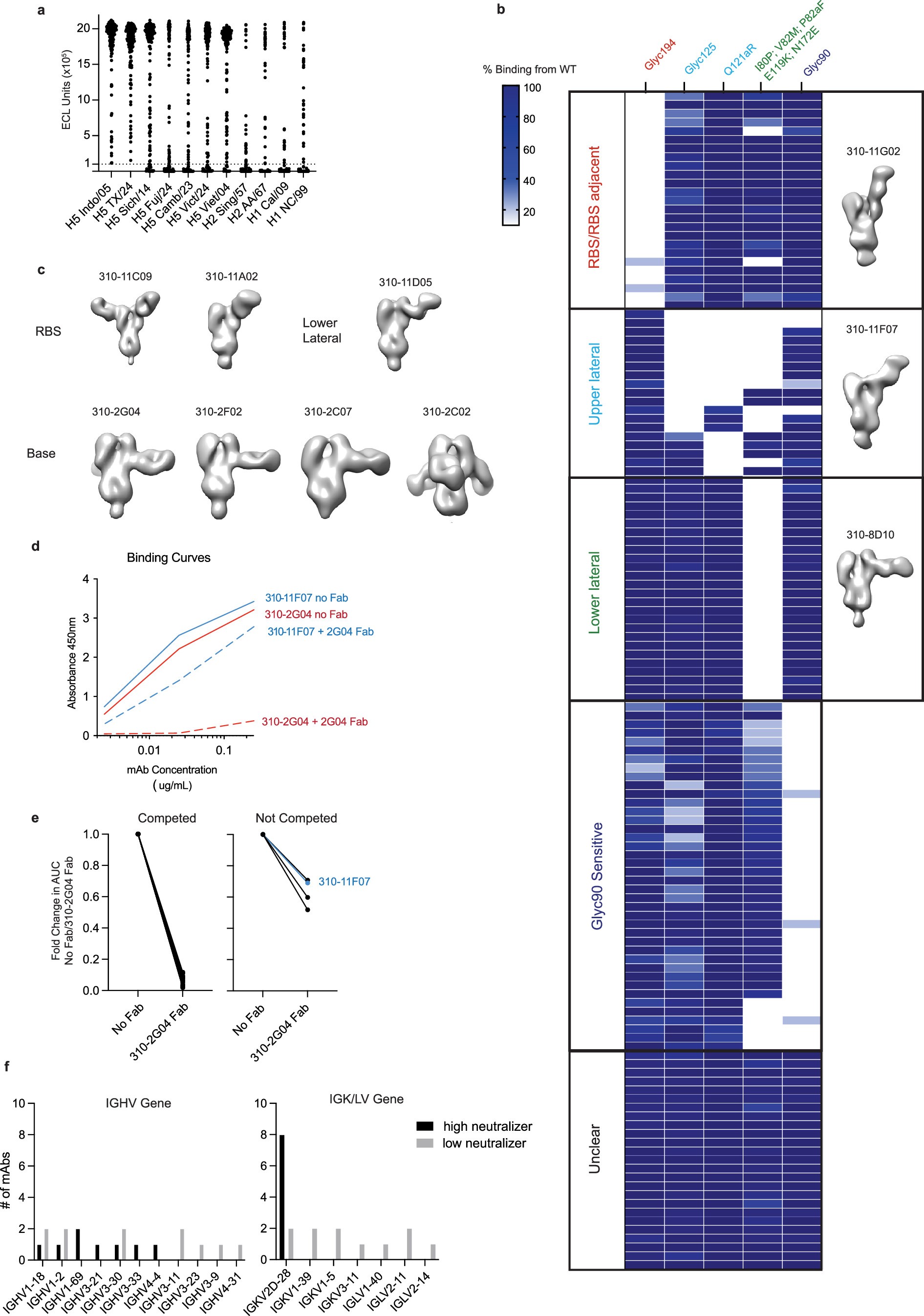 Extended Data Fig. 3: Epitope characterization of mAbs.