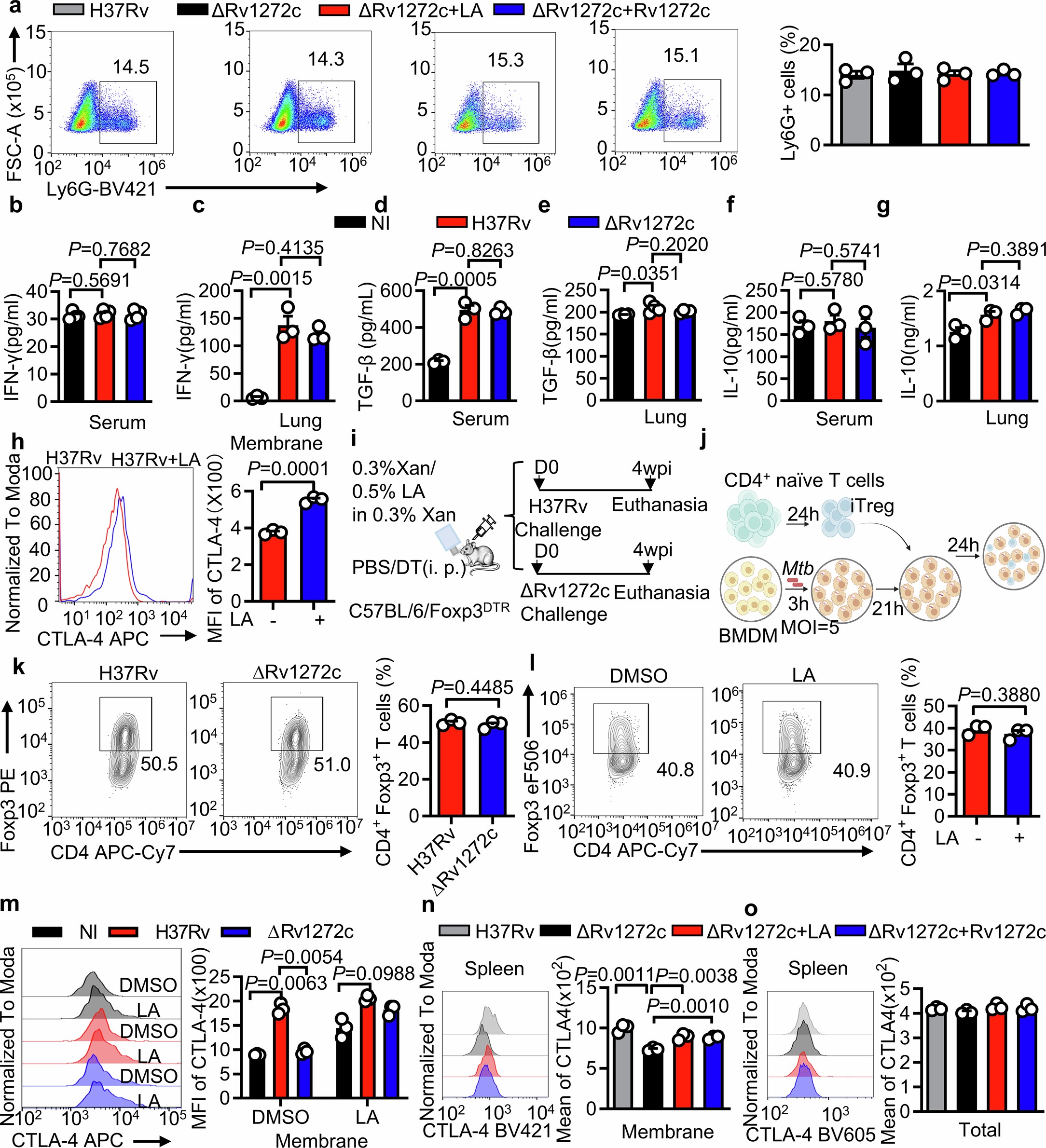 Extended Data Fig. 5: Rv1272c or linoleic acid promotes the intramacrophage survival of Mtb via Treg cells.
